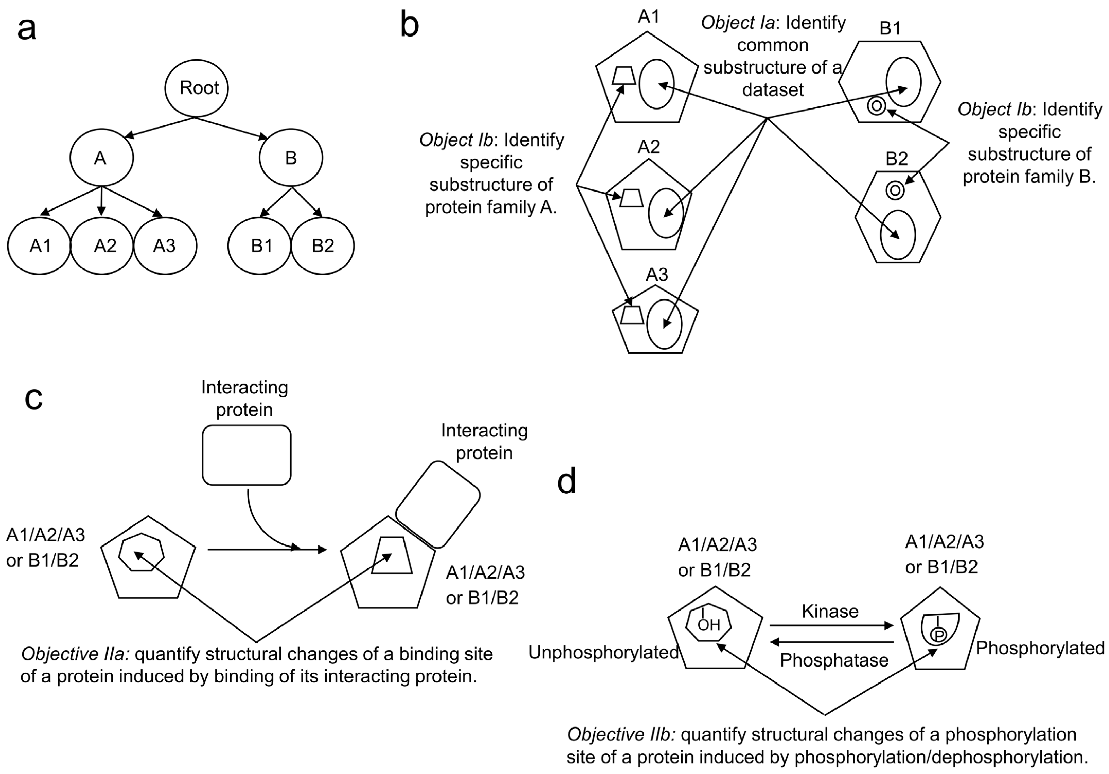 Kinasesphosphatases 02 00021 g001