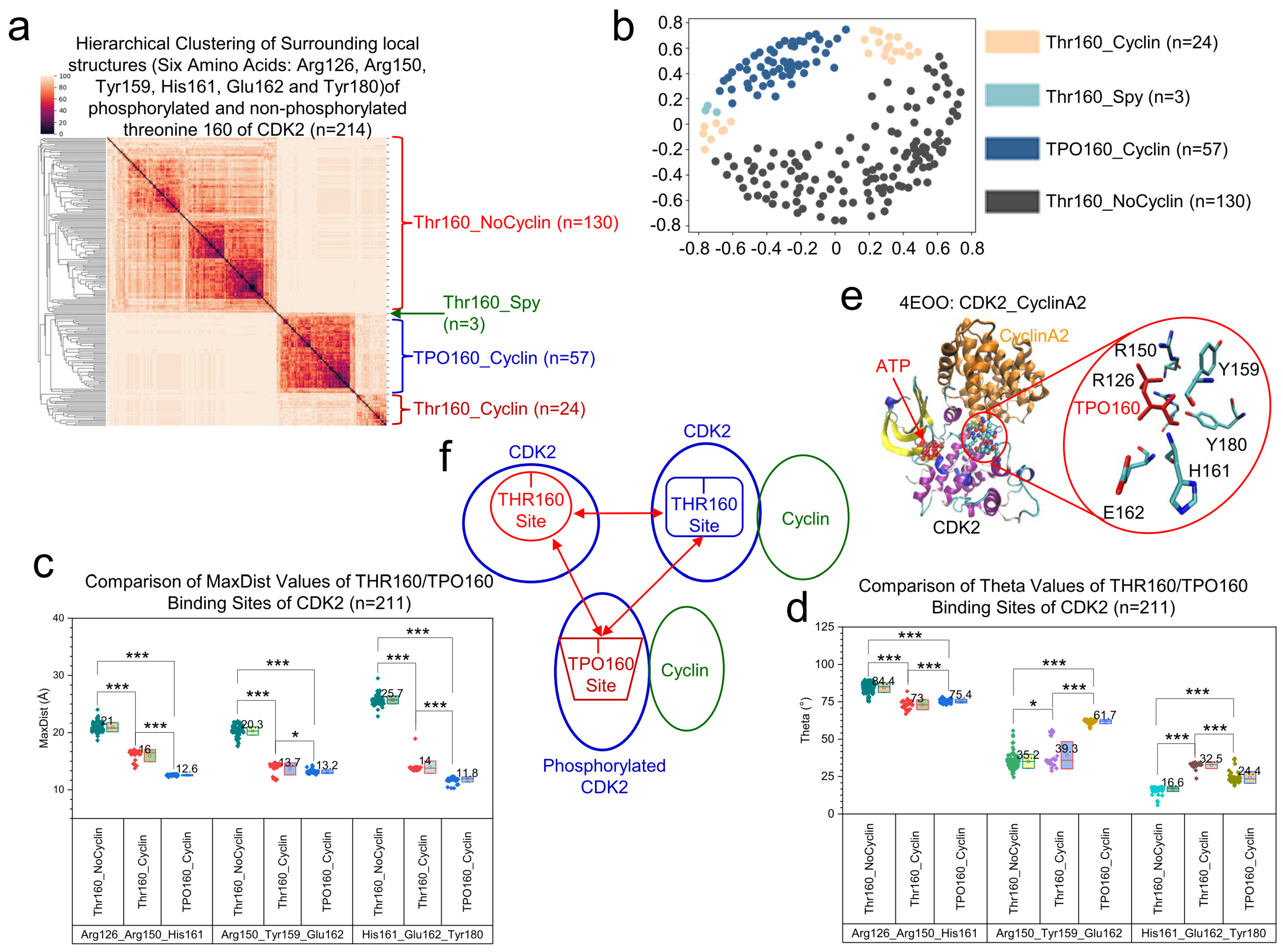 Kinasesphosphatases 02 00021 g011