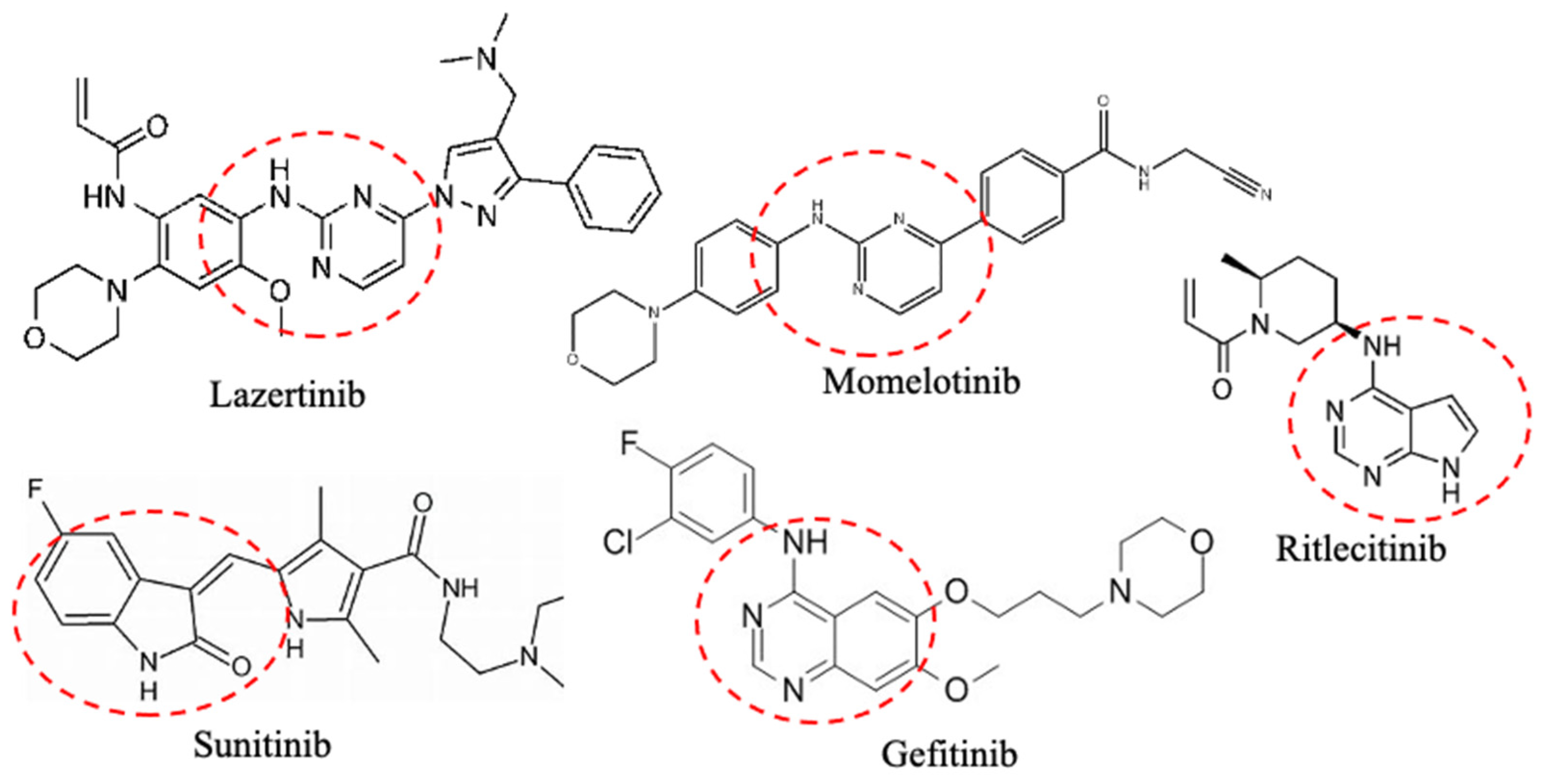 Kinasesphosphatases 02 00023 g002