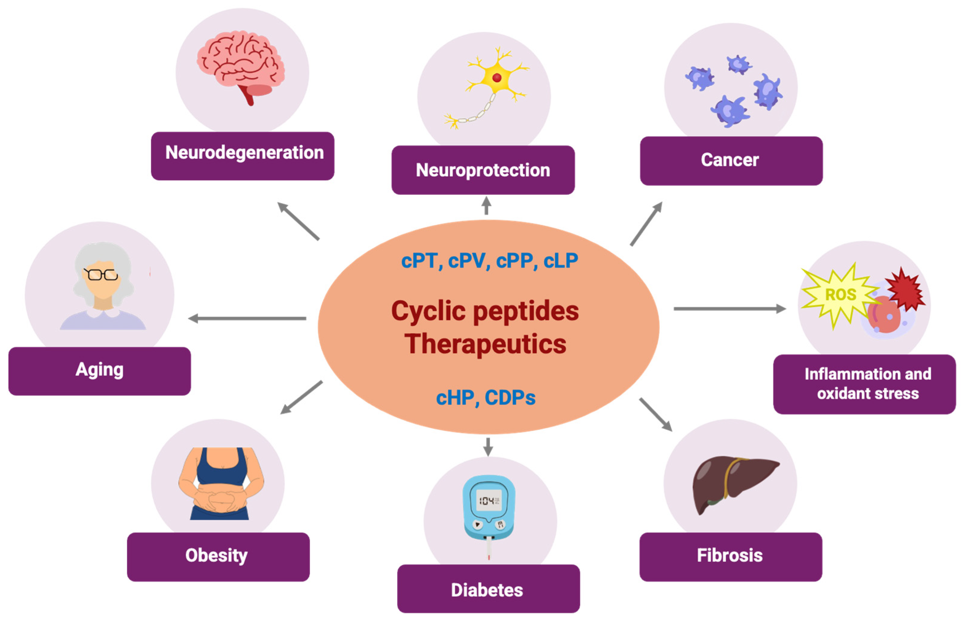 Kinasesphosphatases 02 00023 sch001