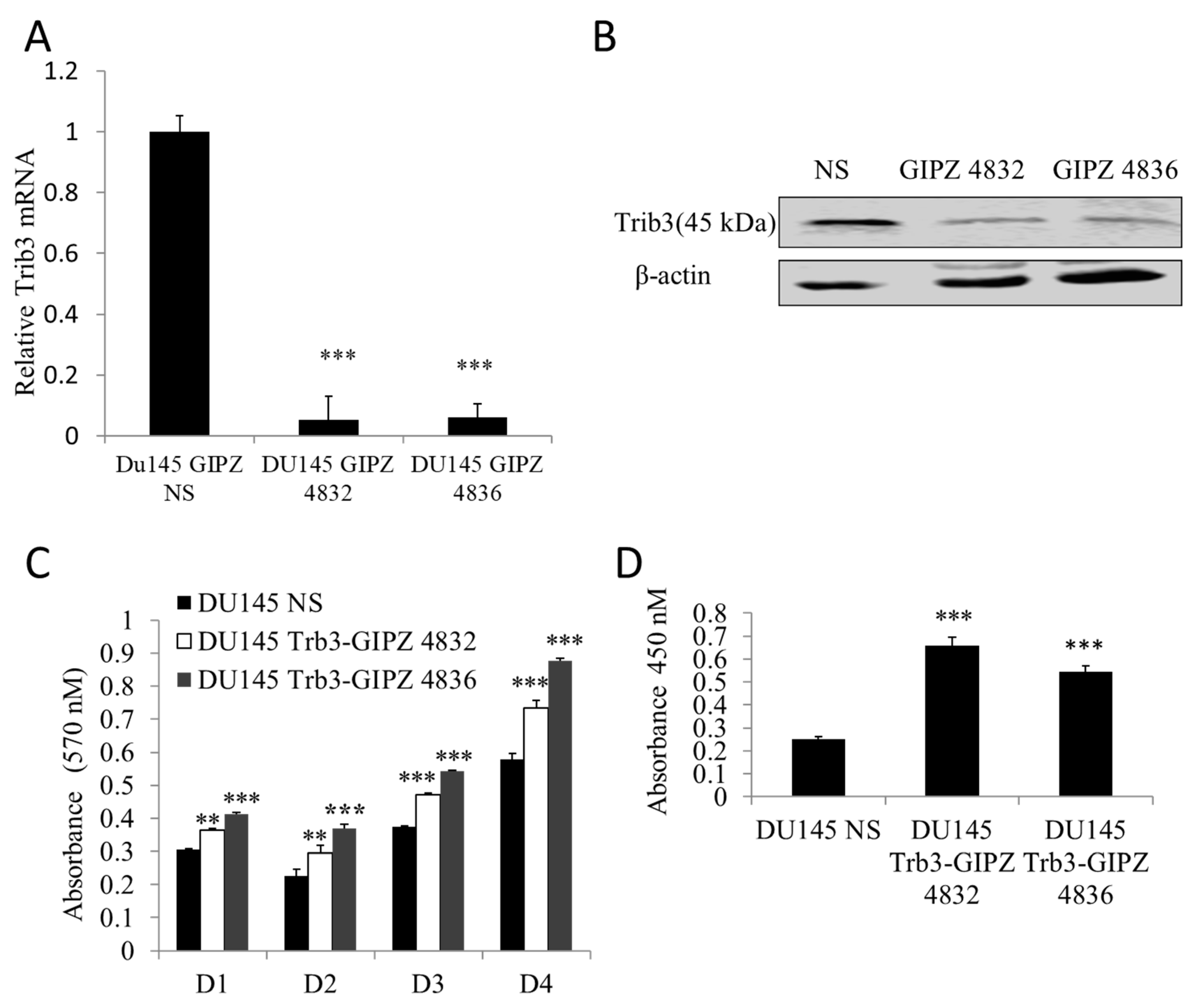 Kinasesphosphatases 03 00002 g004