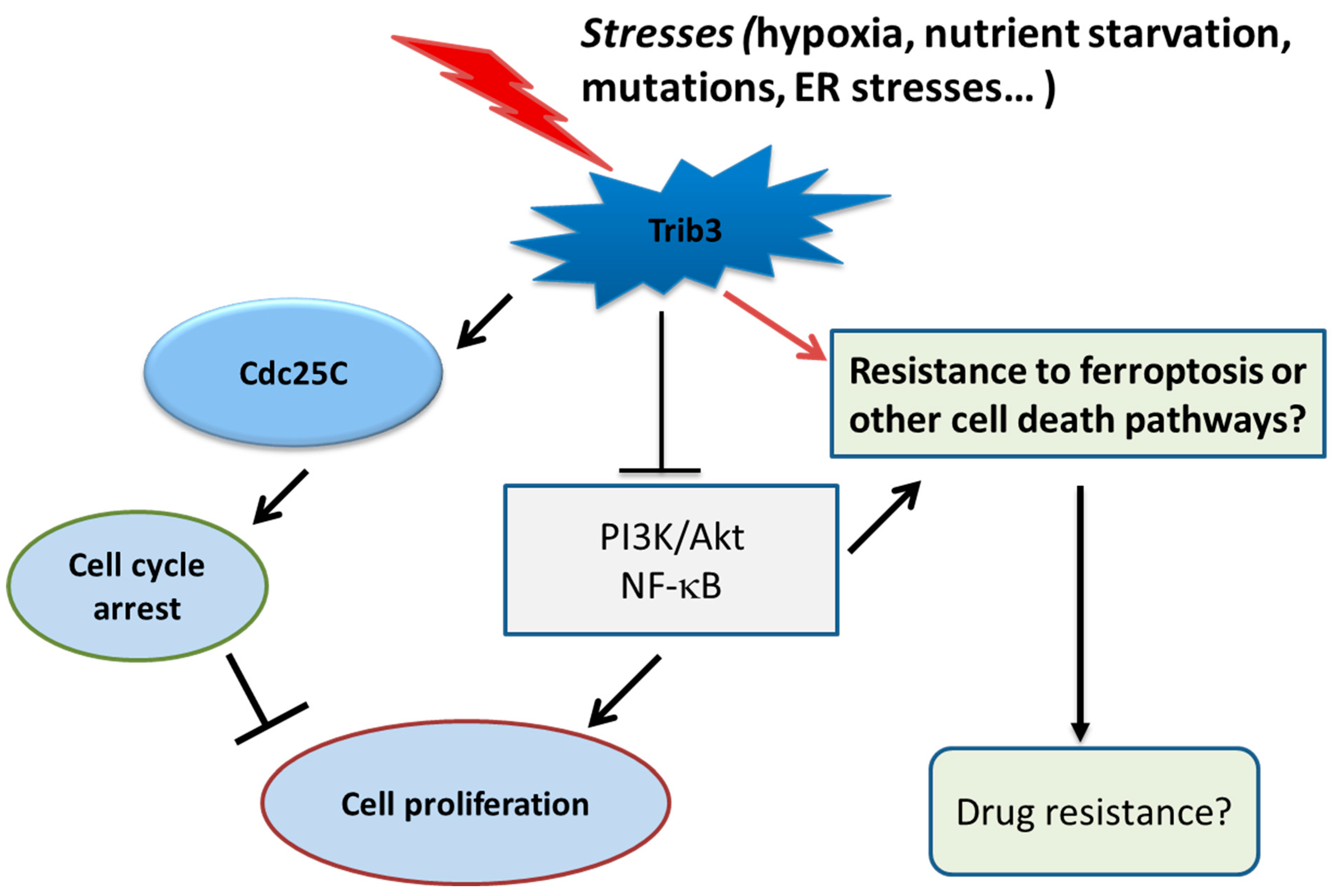 Kinasesphosphatases 03 00002 g006