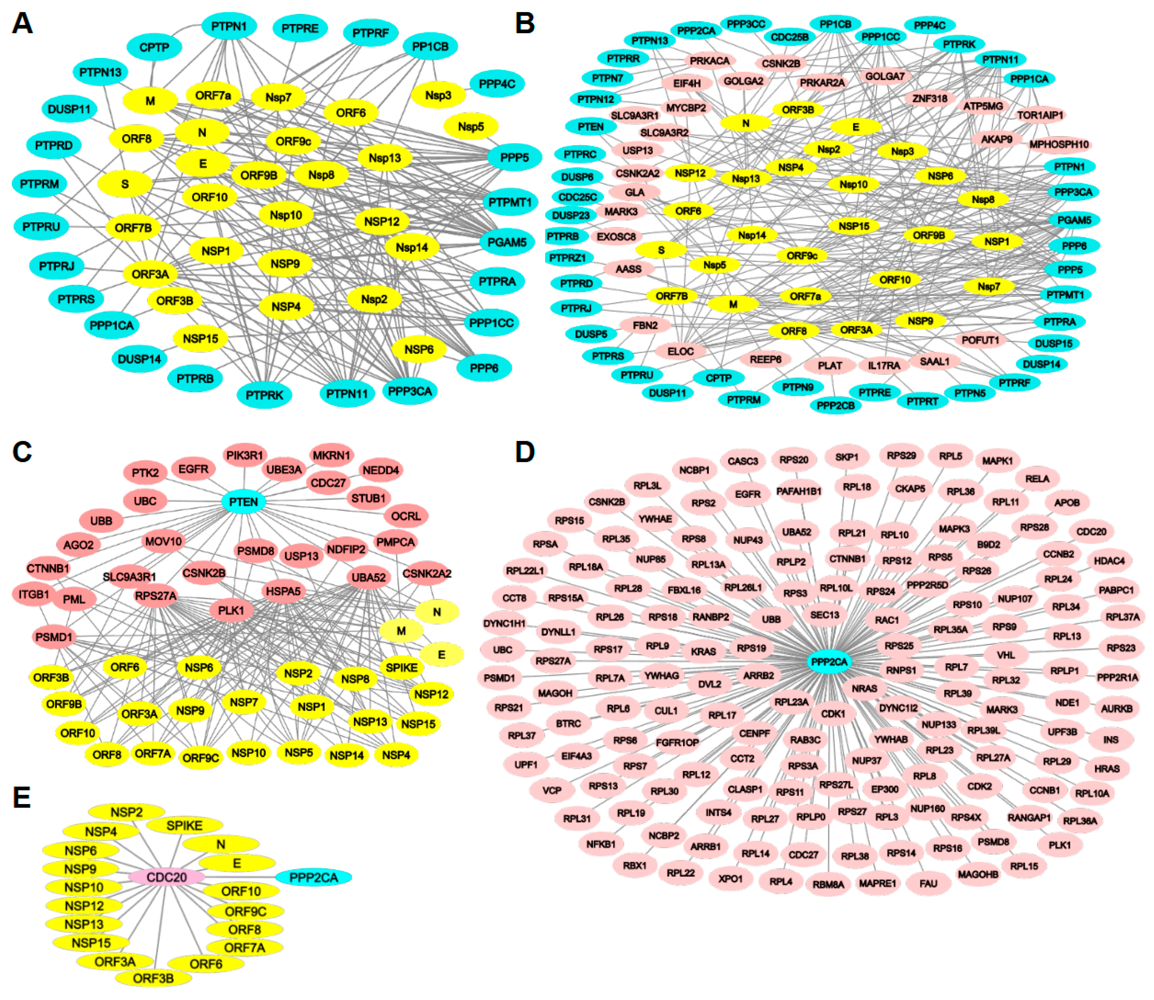 Kinasesphosphatases 03 00004 g003