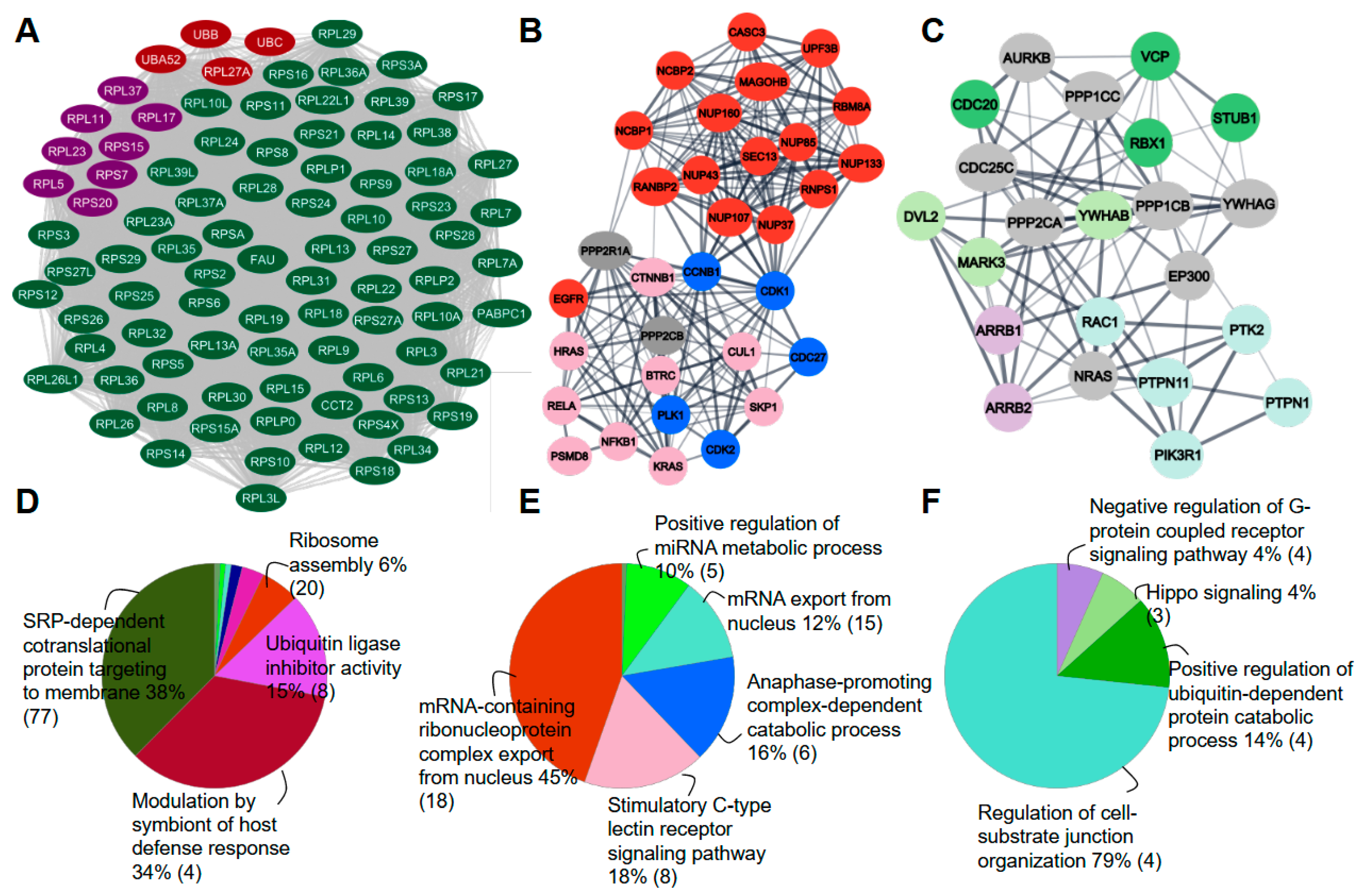 Kinasesphosphatases 03 00004 g004