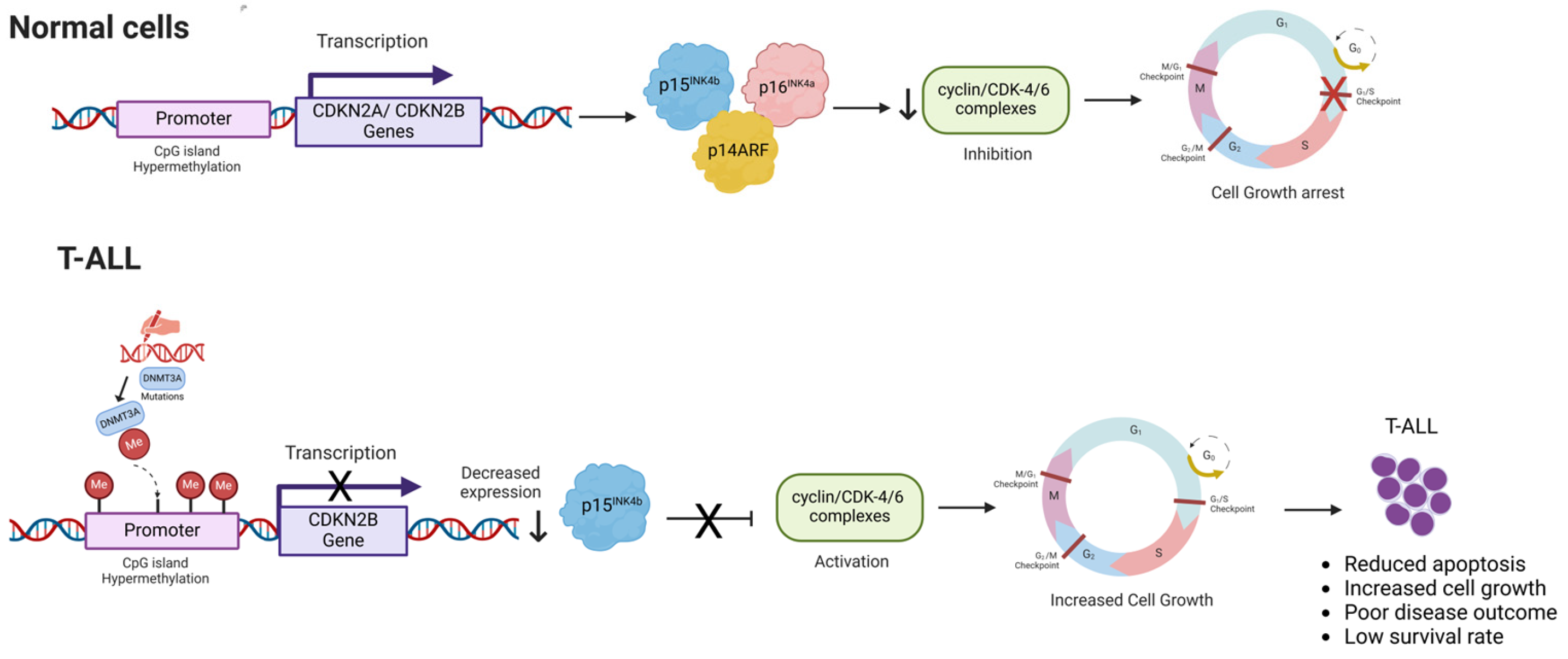 Kinasesphosphatases 03 00007 g001 Kinasesphosphatases 03 00007 g001
