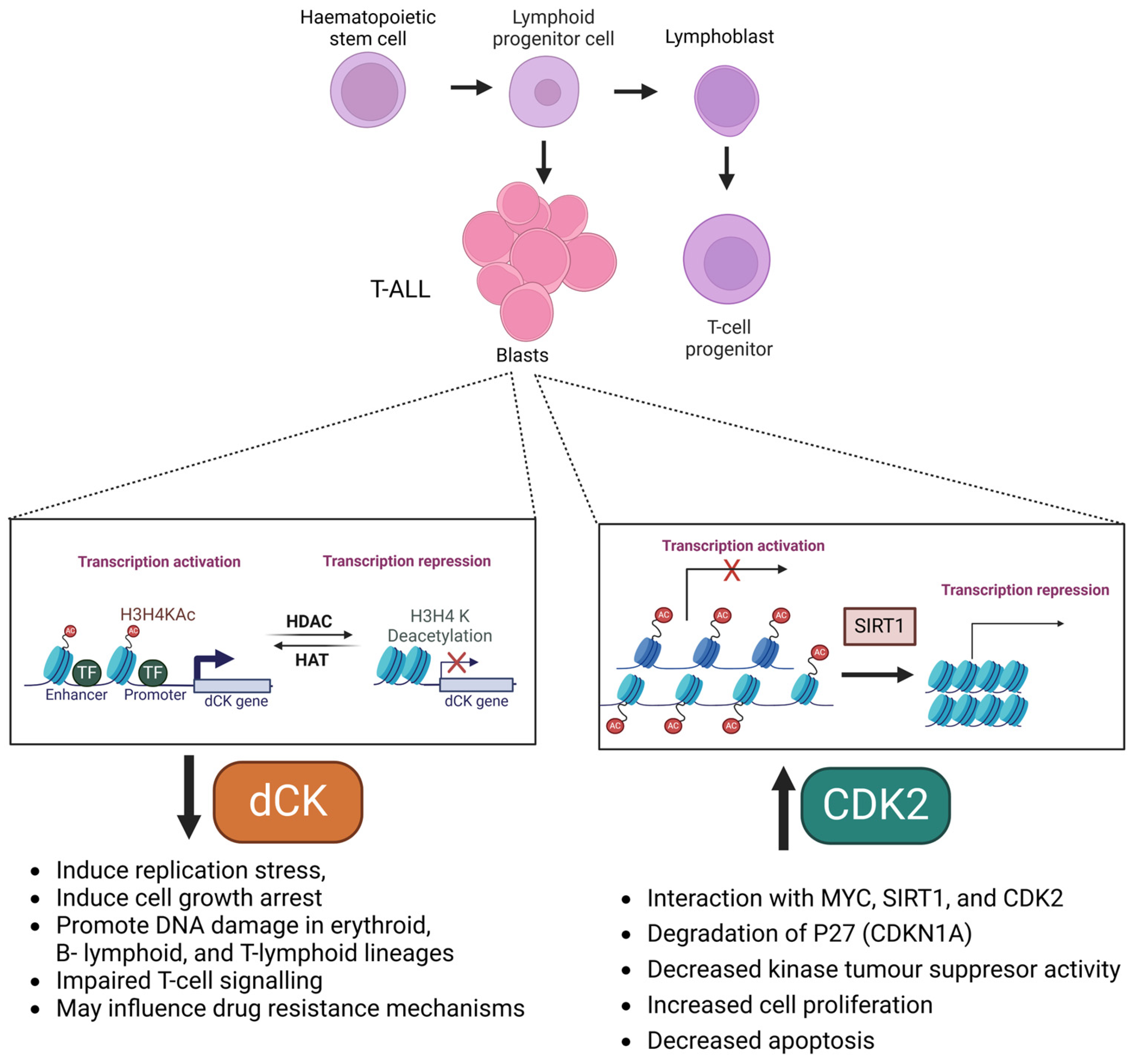 Kinasesphosphatases 03 00007 g002 Kinasesphosphatases 03 00007 g002