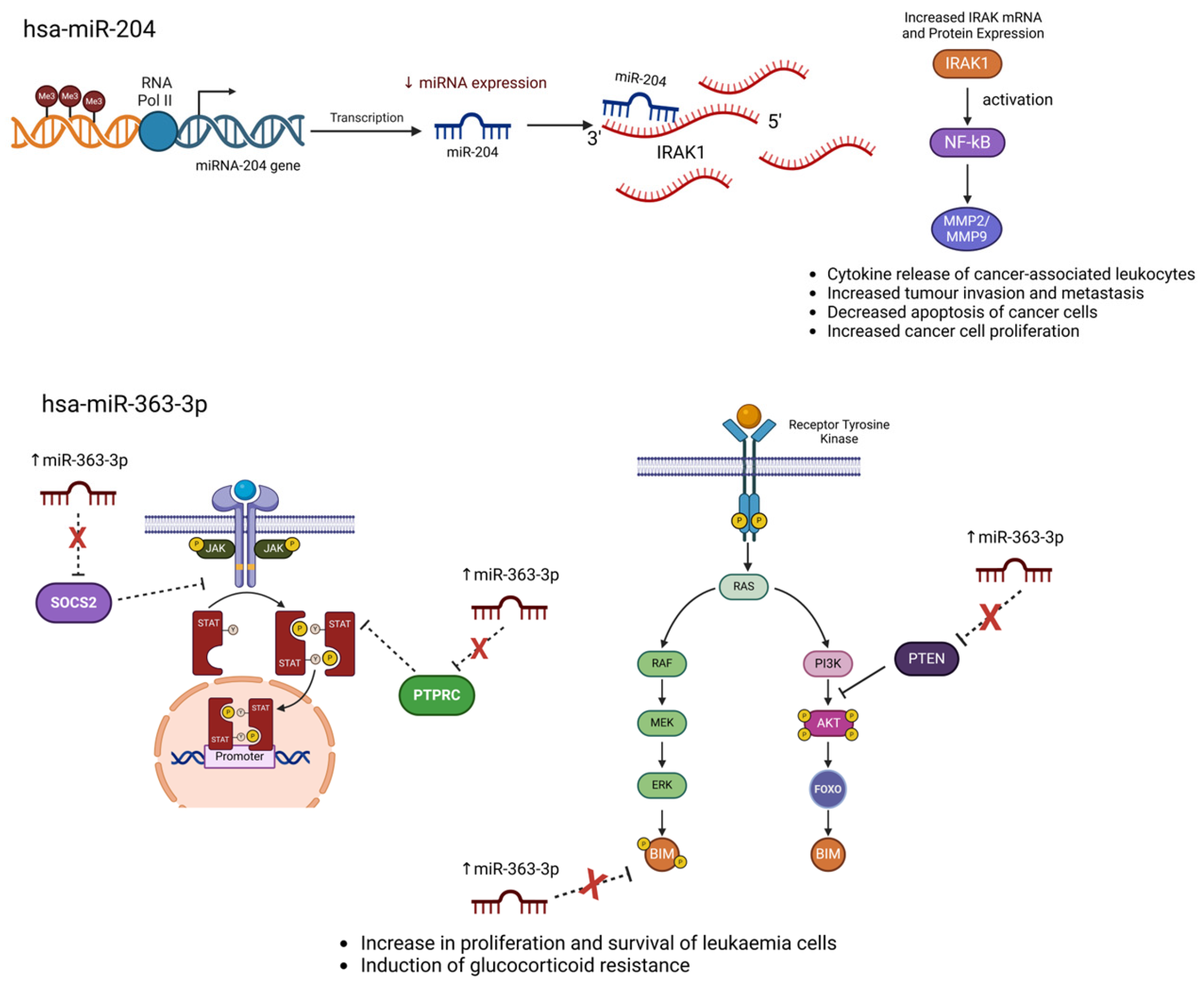 Kinasesphosphatases 03 00007 g003 Kinasesphosphatases 03 00007 g003