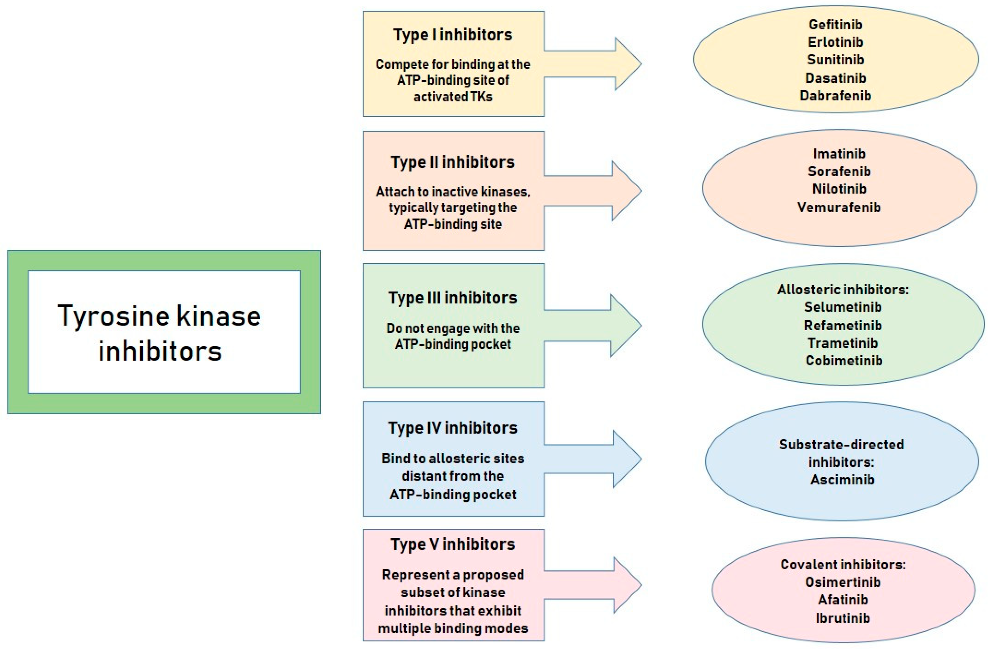 Kinasesphosphatases 03 00009 g001