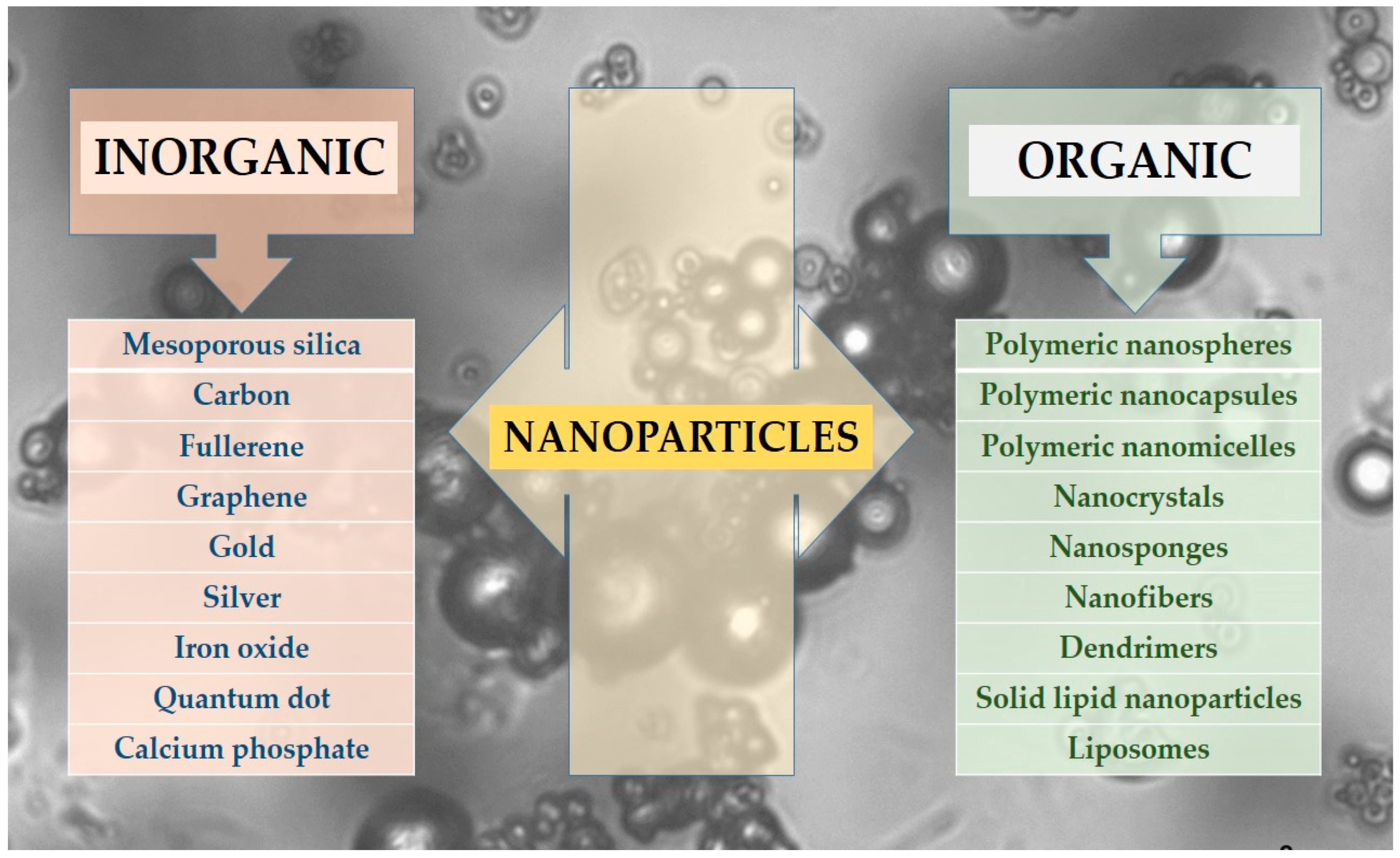 Kinasesphosphatases 03 00009 g002