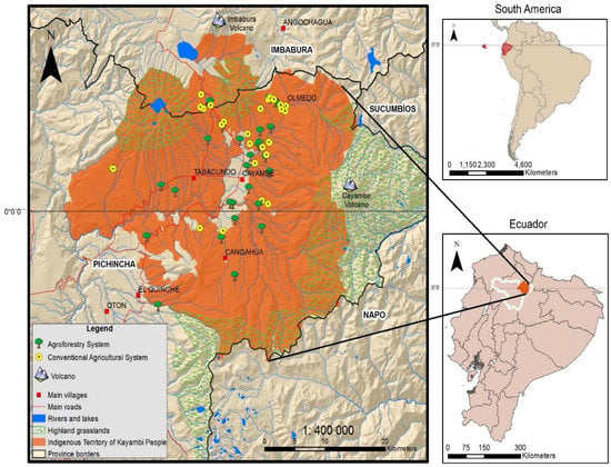 Land Free Full Text Sustainability Of Smallholder Livelihoods In The Ecuadorian Highlands A Comparison Of Agroforestry And Conventional Agriculture Systems In The Indigenous Territory Of Kayambi People Html