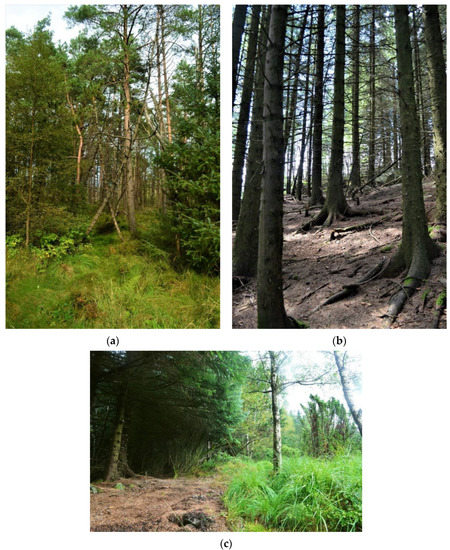 Land | Free Full-Text | Study of Heathland Succession, Prescribed ...