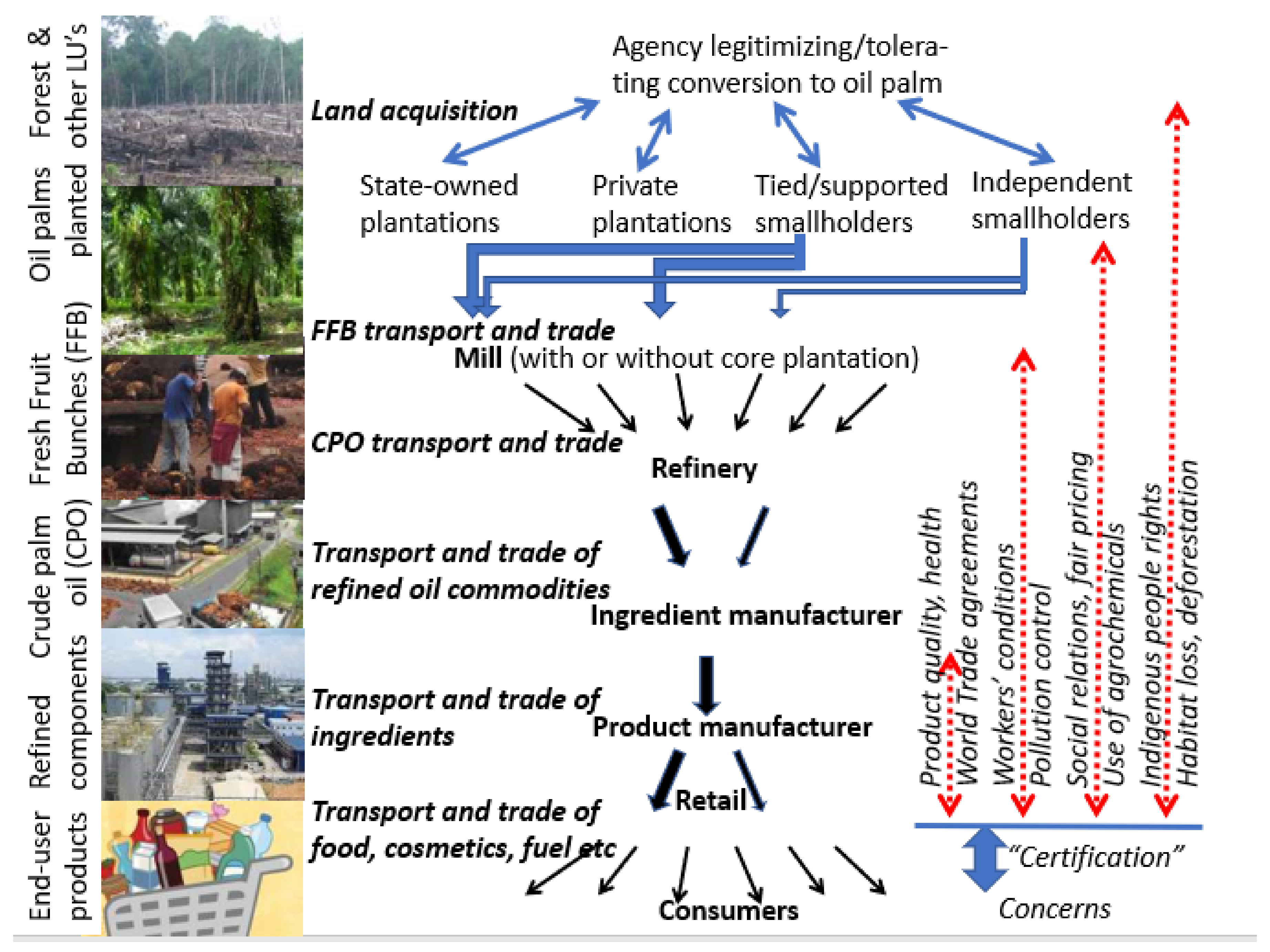 Land | Free Full-Text | Agroforestry as Policy Option for Forest-Zone Oil  Palm Production in Indonesia | HTML