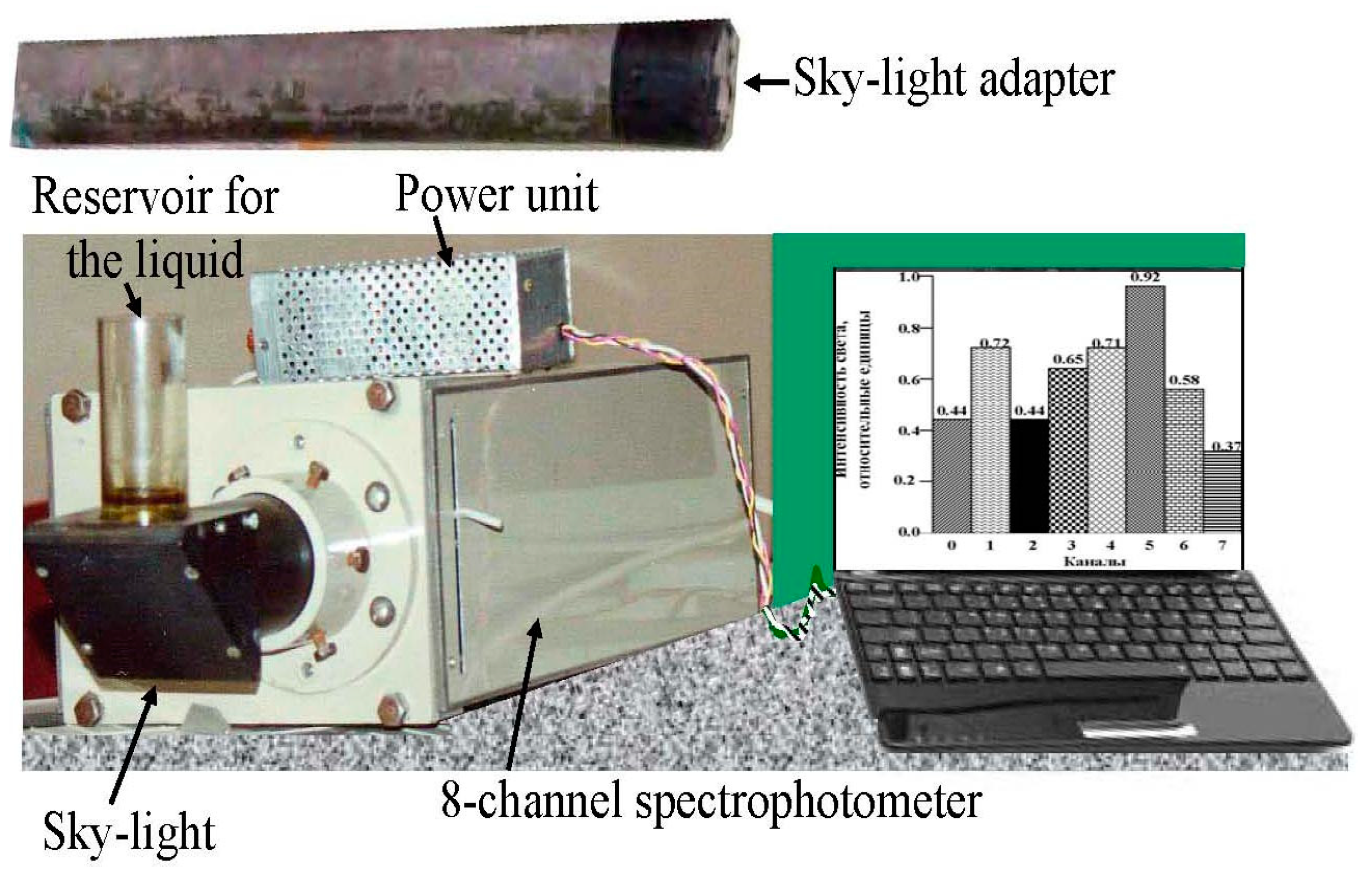 Land 10 00342 g003 Land 10 00342 g003