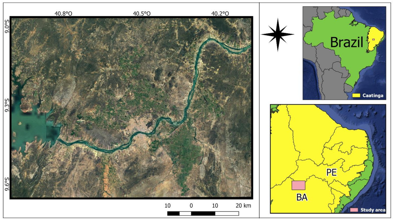 Land | Free Full-Text | Restoration and Conservation of Priority Areas of  Caatinga's Semi-Arid Forest Remnants Can Support Connectivity within an  Agricultural Landscape