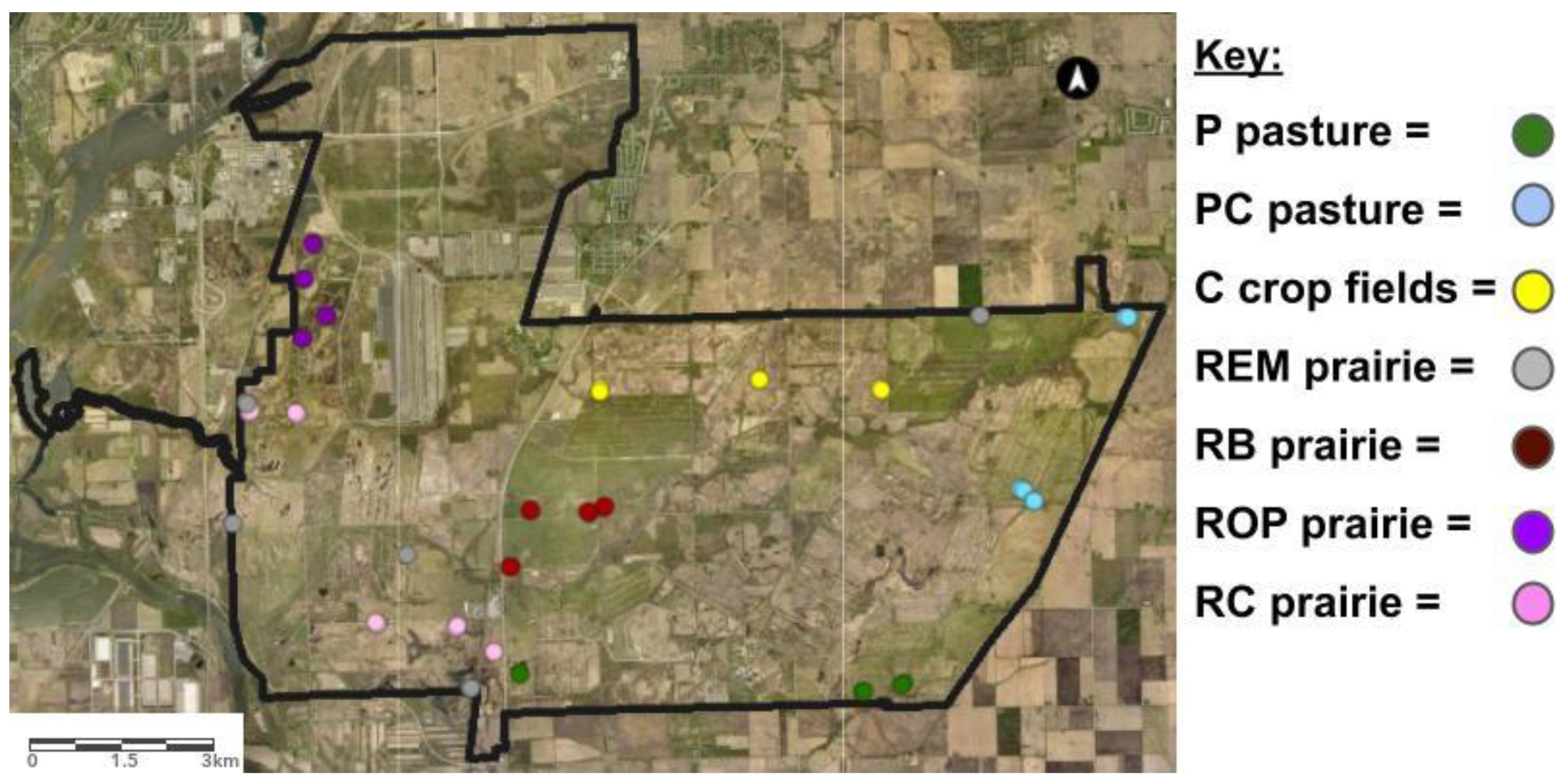 Land | Free Full-Text | Does Pastoral Land-Use Legacy Influence Topsoil  Carbon and Nitrogen Accrual Rates in Tallgrass Prairie Restorations?