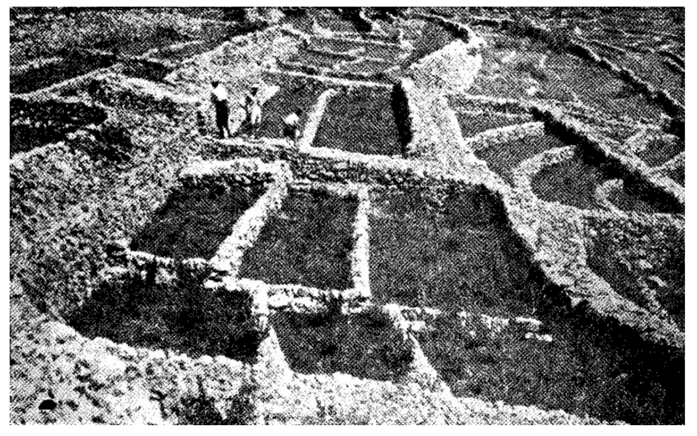Land 10 00978 g003