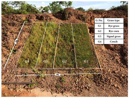 A master class in static grass (creating slopes)