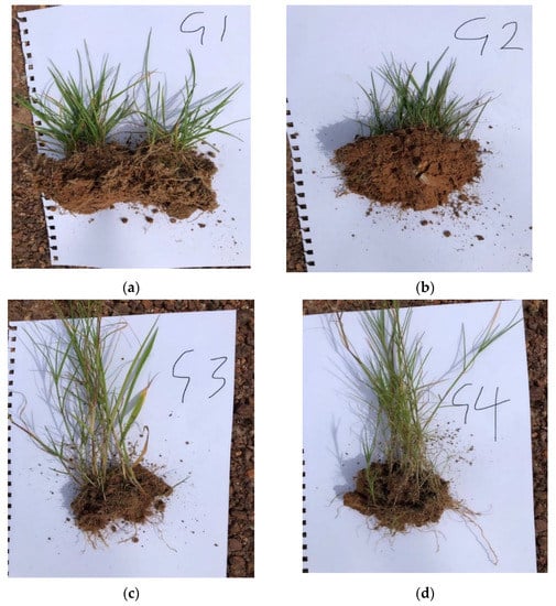 A master class in static grass (creating slopes)