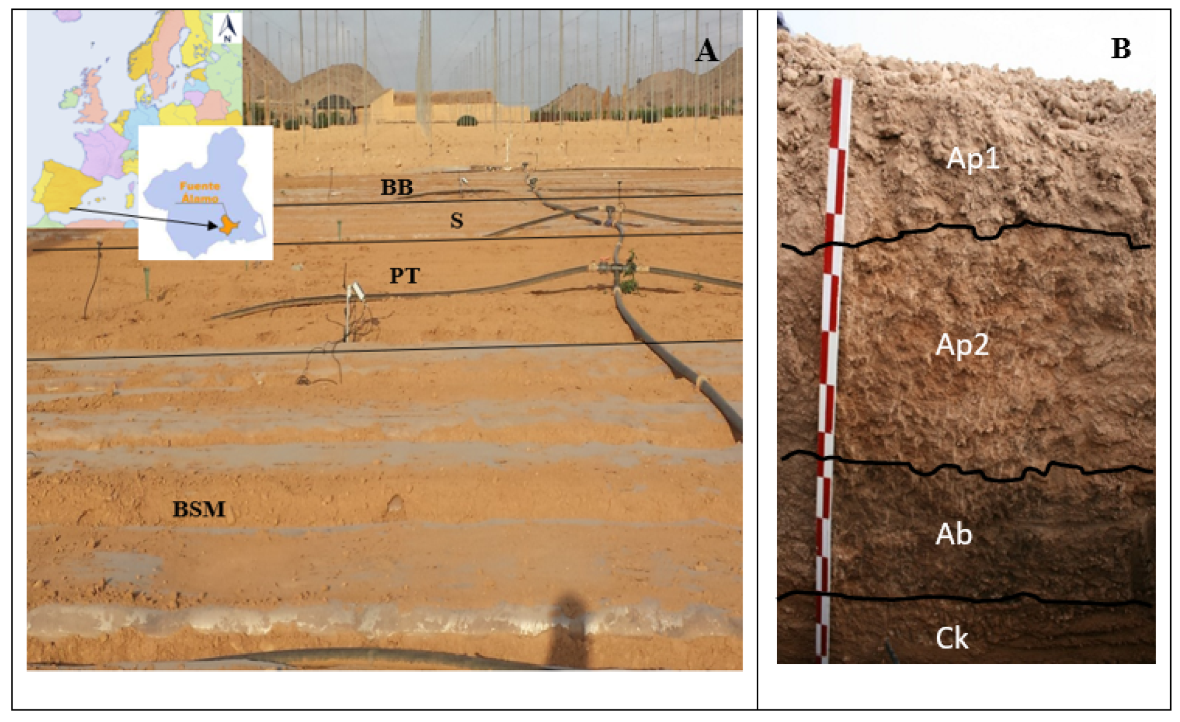 Land | Free Full-Text | Rapid Response Indicators for Predicting