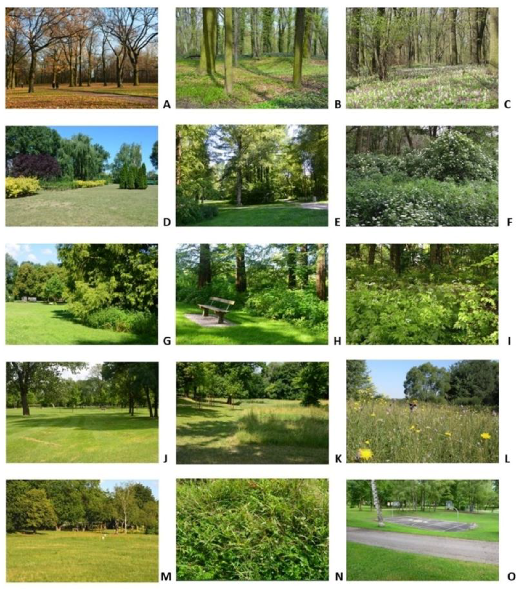 Land | Free Full-Text | Perception of the Vegetation Cover Pattern  Promoting Biodiversity in Urban Parks by Future Greenery Managers