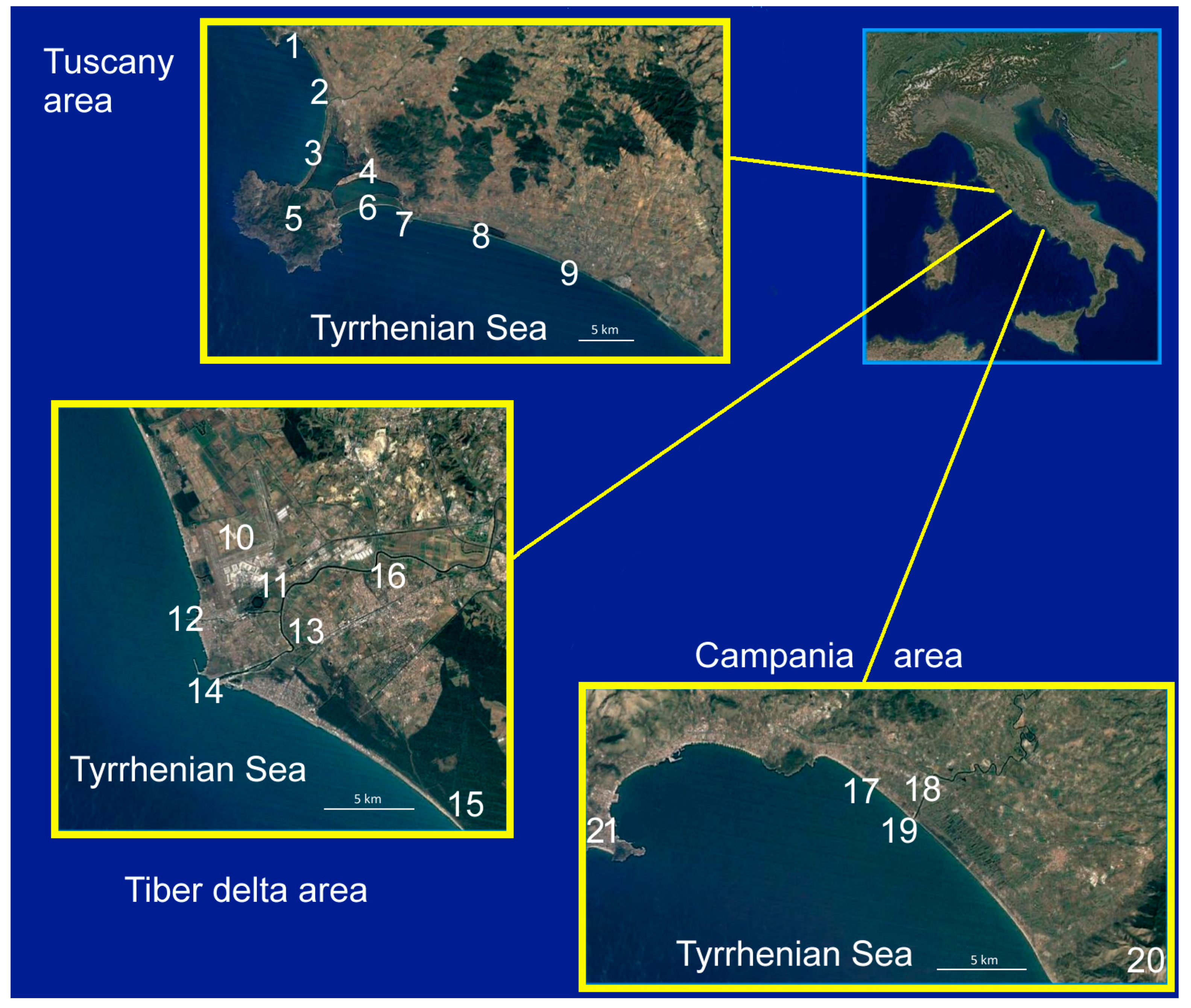 Land | Free Full-Text | Natural and Cultural Lost Landscape during the  Holocene along the Central Tyrrhenian Coast (Italy)