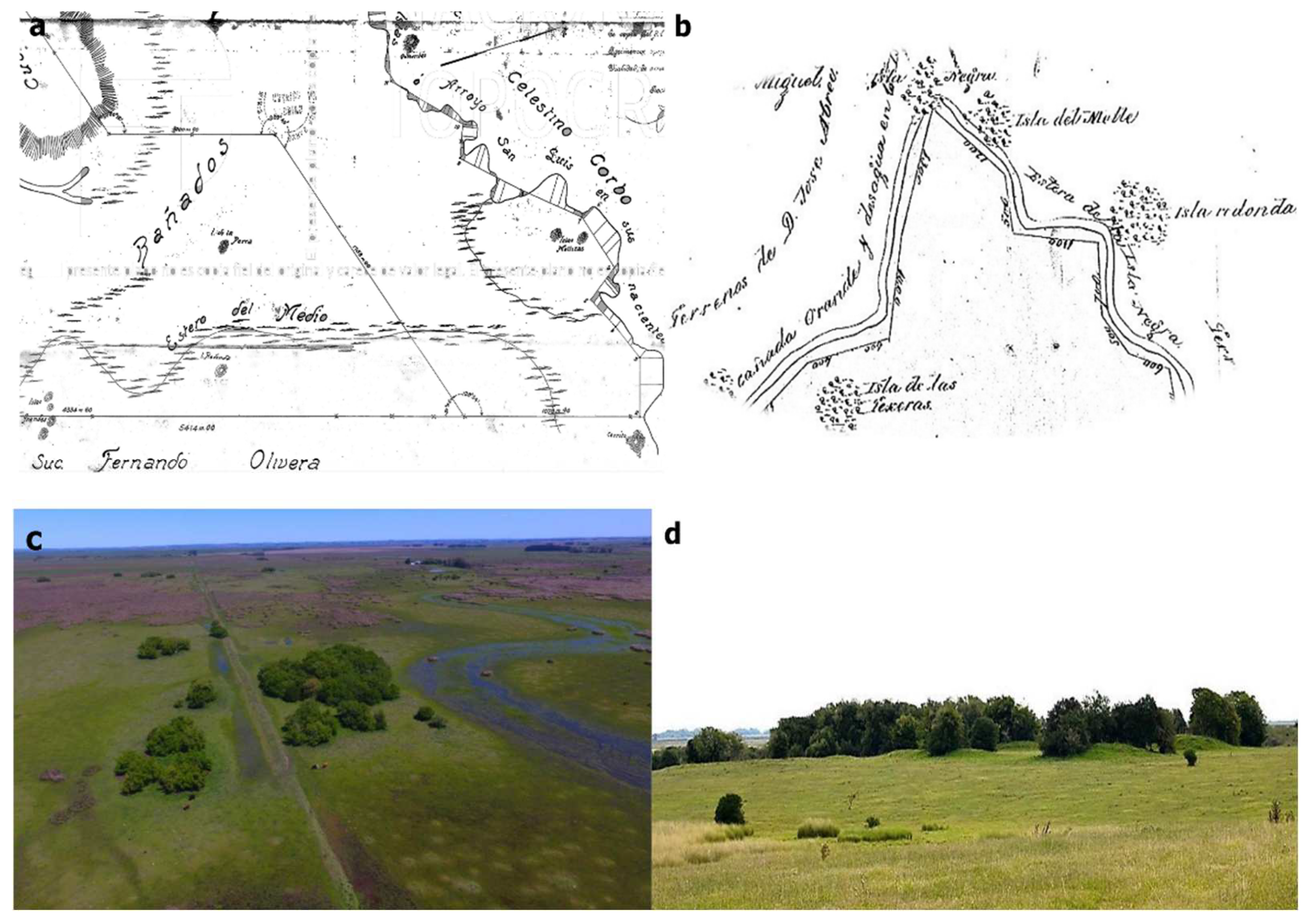 Land | Free Full-Text | From Mounds to Villages: The Social Construction of  the Landscape during the Middle and Late Holocene in the India Muerta  Lowlands, Uruguay