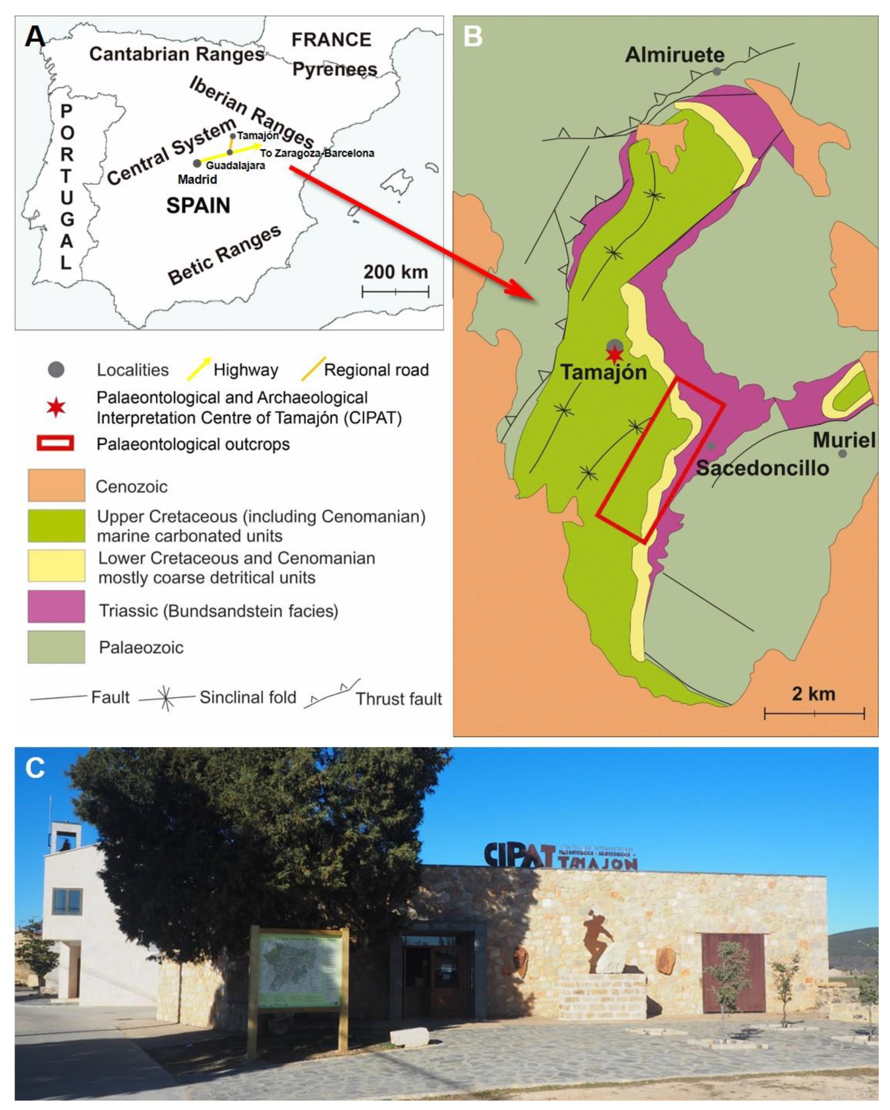 Land | Free Full-Text | Discovering a Project for the Development of  Geotourism in Rural Areas: The Paleontological and Archaeological  Interpretation Centre of Tamaj&oacute;n (CIPAT, Guadalajara, Spain)