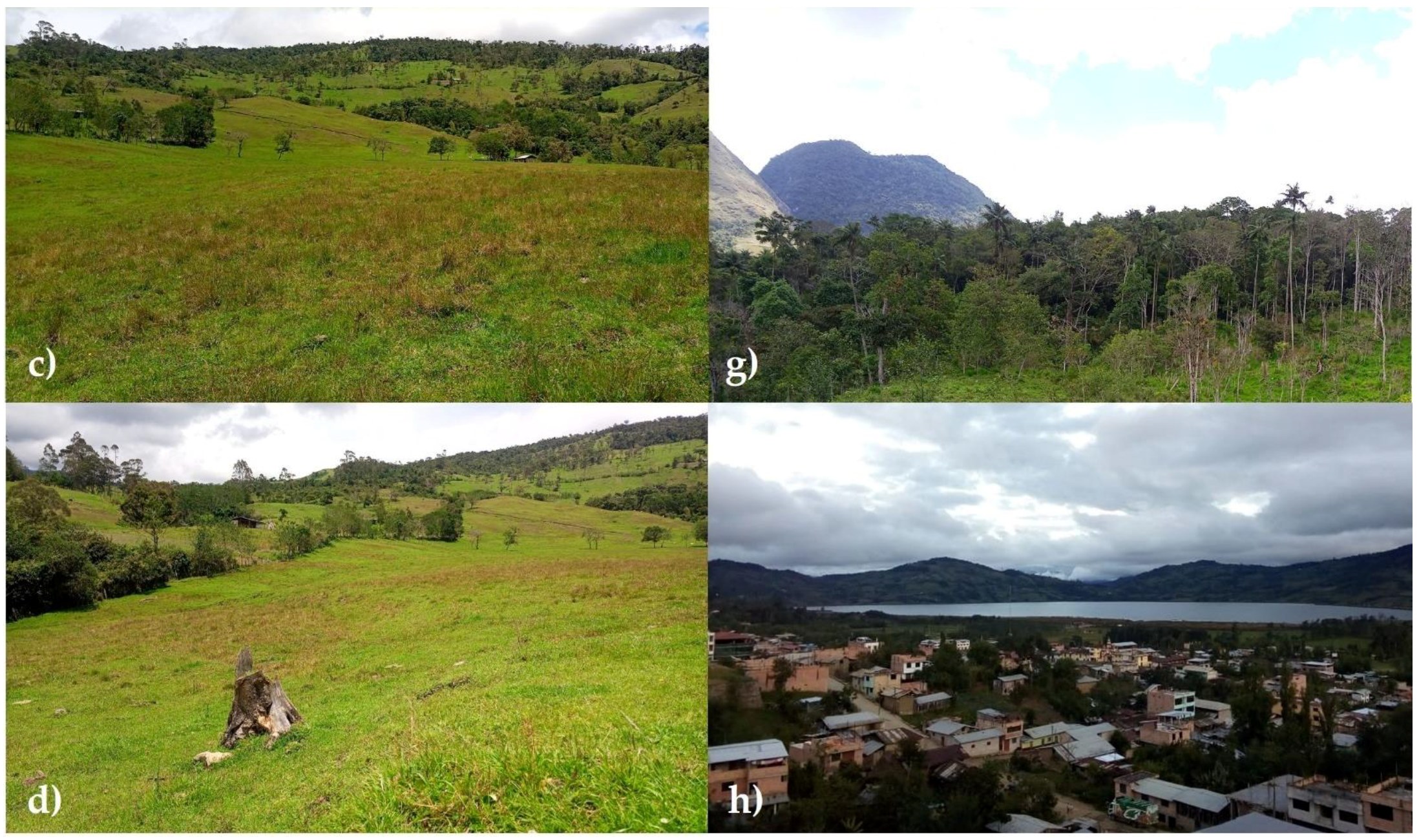 Land | Free Full-Text | Spatiotemporal Dynamics of Grasslands Using Landsat  Data in Livestock Micro-Watersheds in Amazonas (NW Peru)