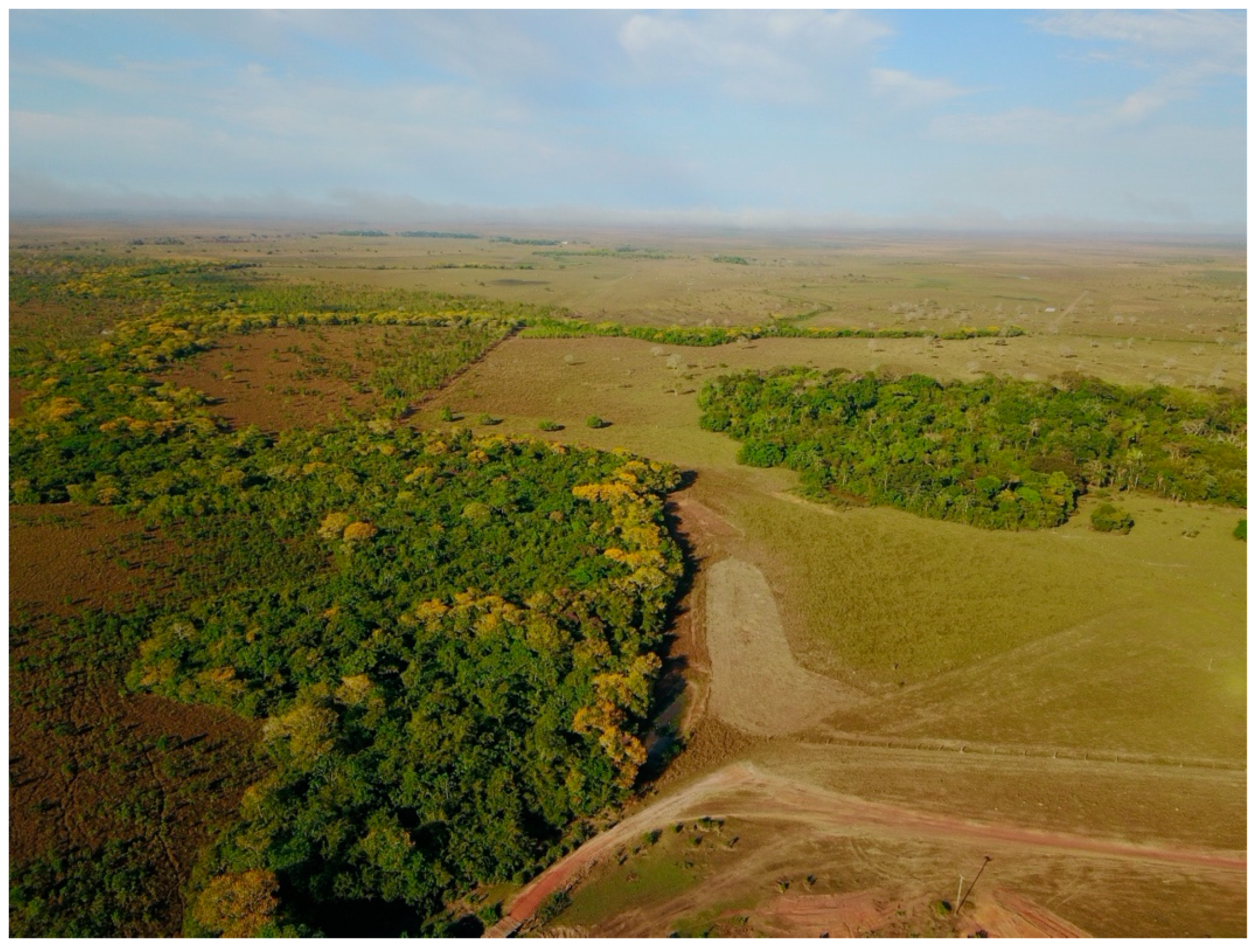Land | Free Full-Text | Forests and Farmers: GIS Analysis of Forest Islands  and Large Raised Fields in the Bolivian Amazon