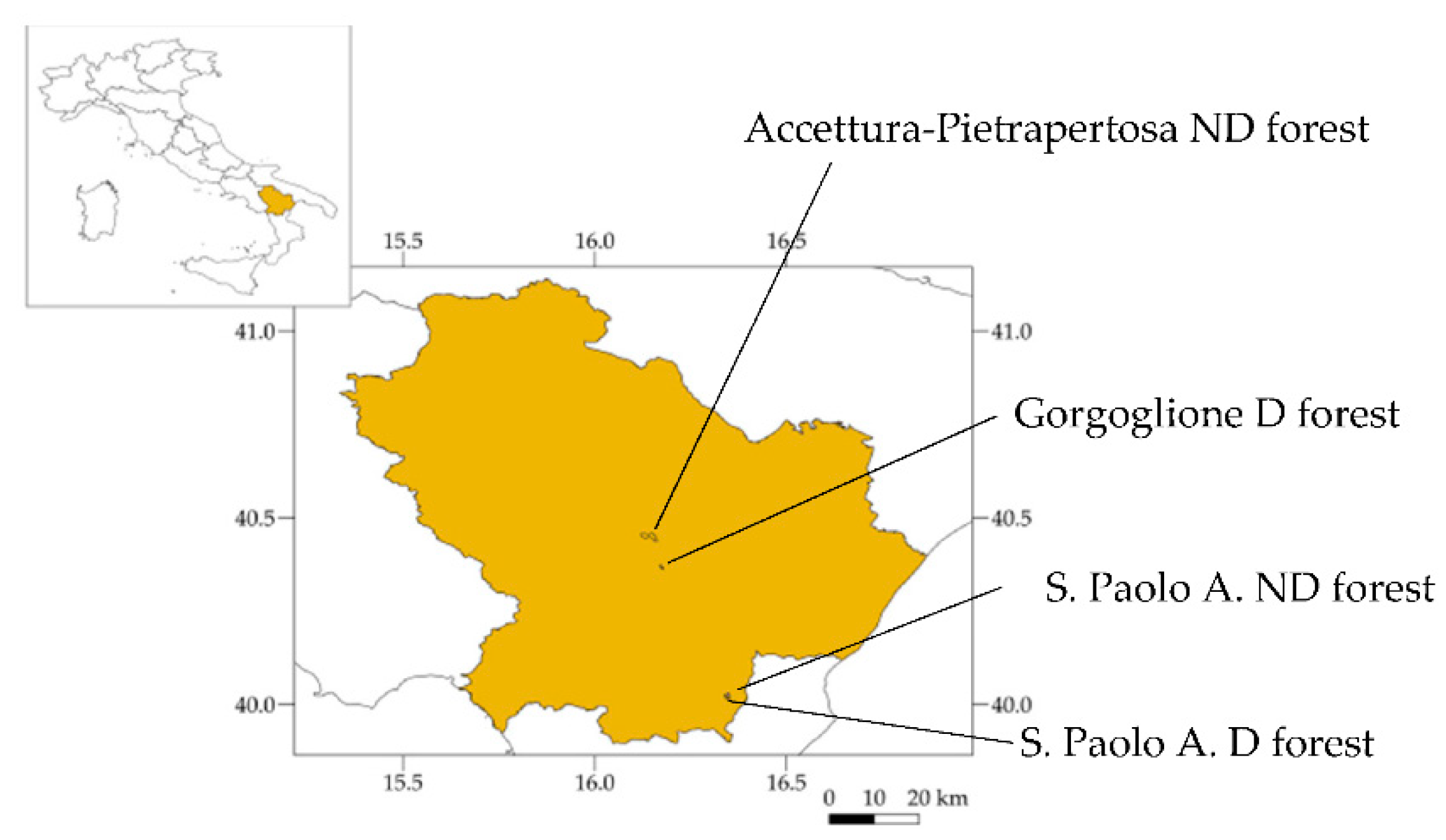 Land 11 00825 g002 Land 11 00825 g002