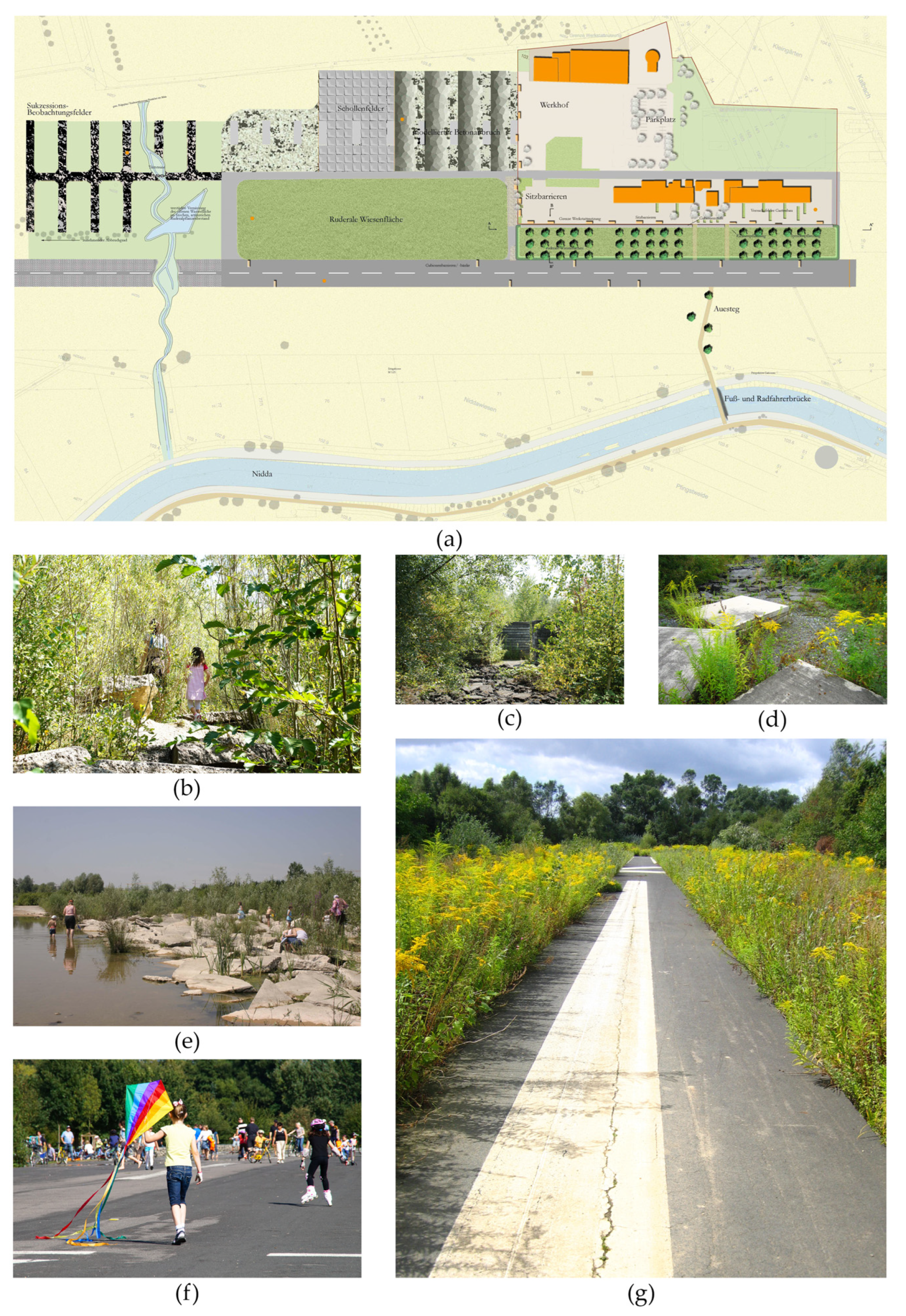 Land | Free Full-Text | Landscape-Based Transformation of Young