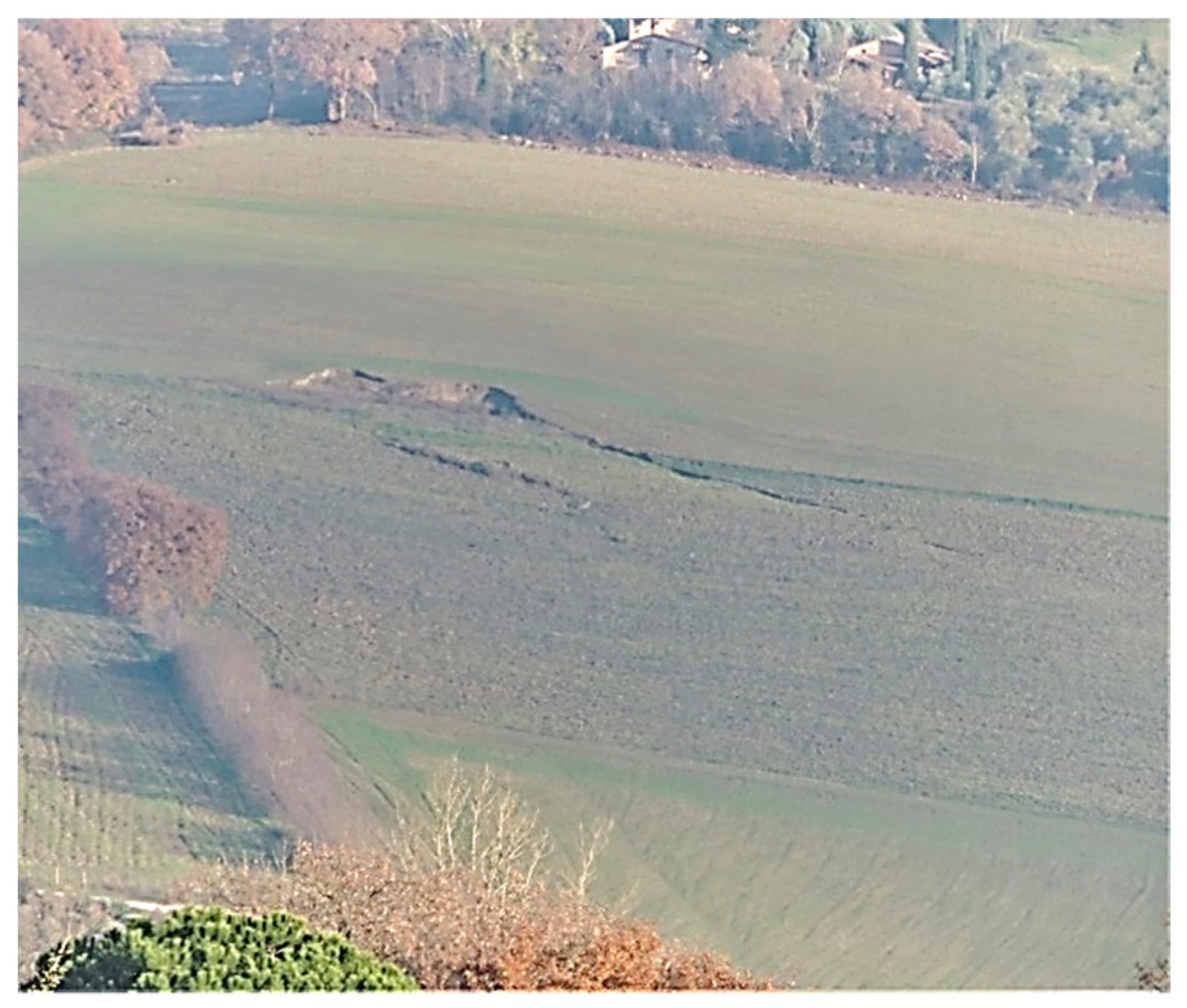 Land 11 00912 g004