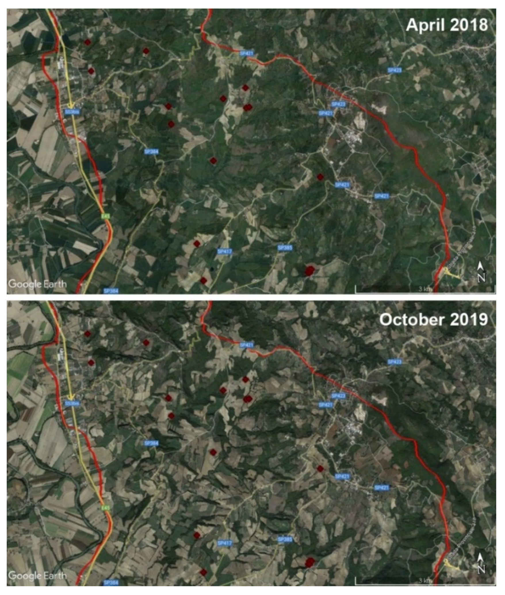Land 11 00912 g005