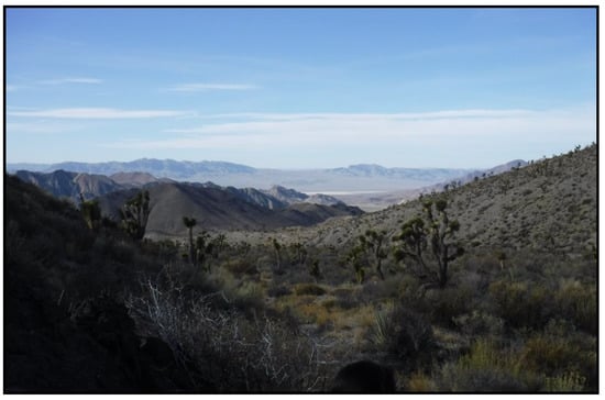 Rock stacking's hidden consequences: How a popular trend harms mountain  wildlife