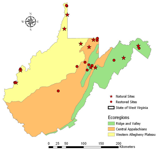 Land Free Full Text Restored And Natural Wetland Small Mammal Communities In West Virginia Usa 