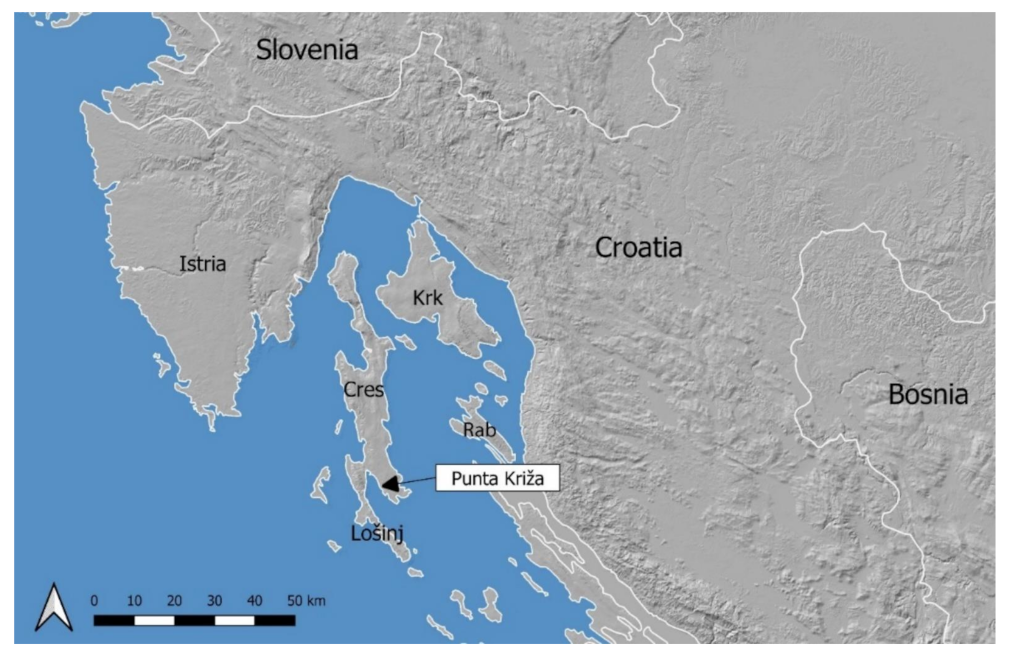 Land | Free Full-Text | Confronting Complexity: Interpretation of a Dry  Stone Walled Landscape on the Island of Cres, Croatia