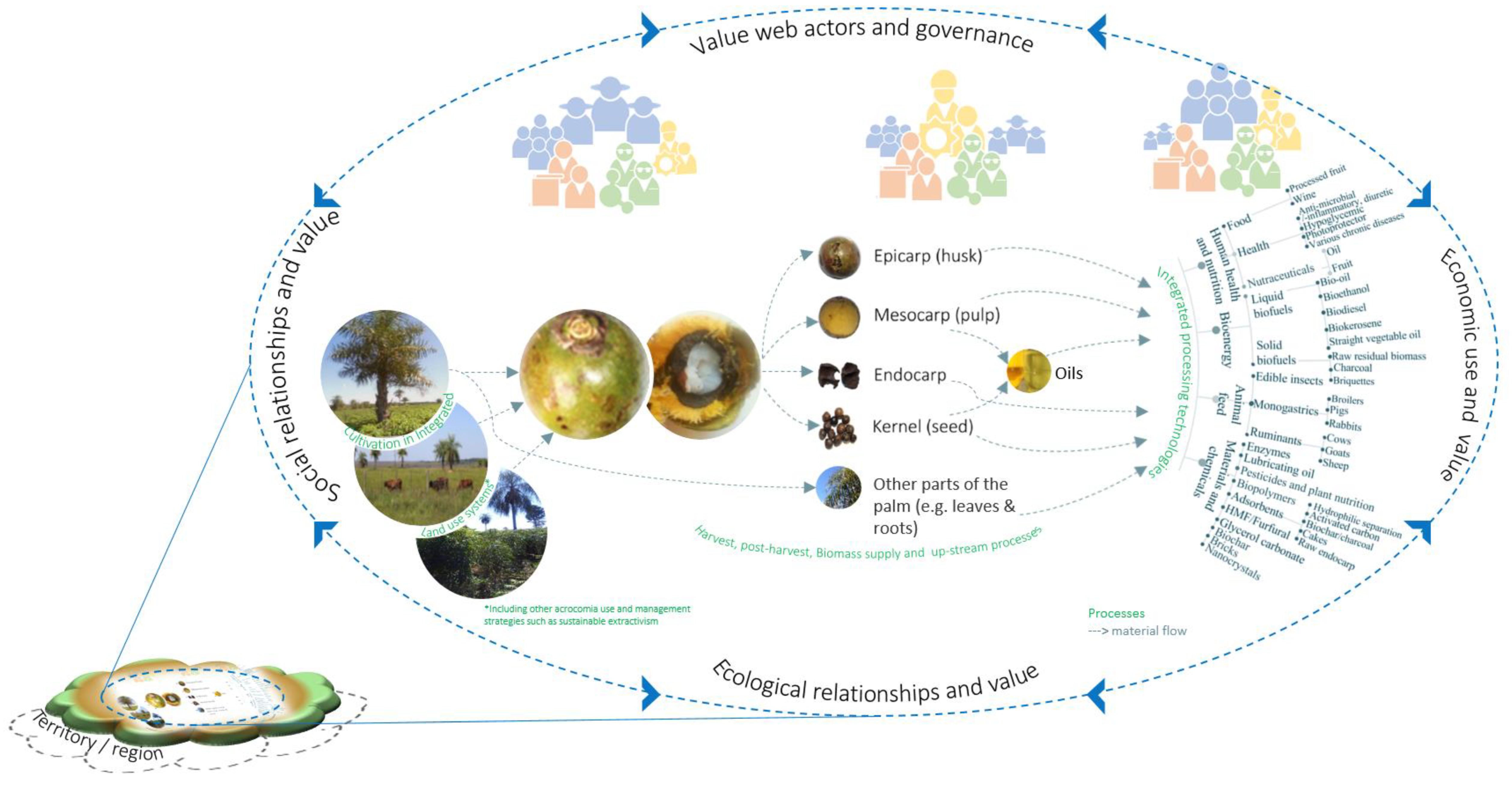 Land 11 01748 g004 Land 11 01748 g004