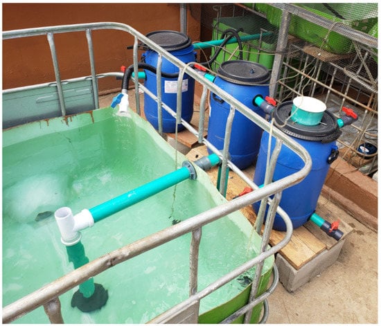 Mini Milk Plant 500 Litres Per Day at Rs 500000