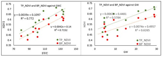 Land | Free Full-Text | Modelling Floodplain Vegetation Response To ...