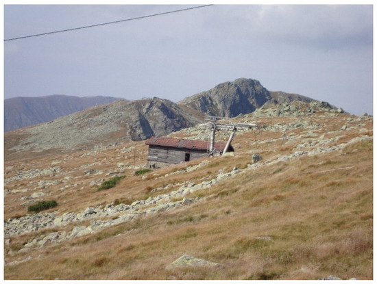 Chamois release to strengthen important Central Apennines population