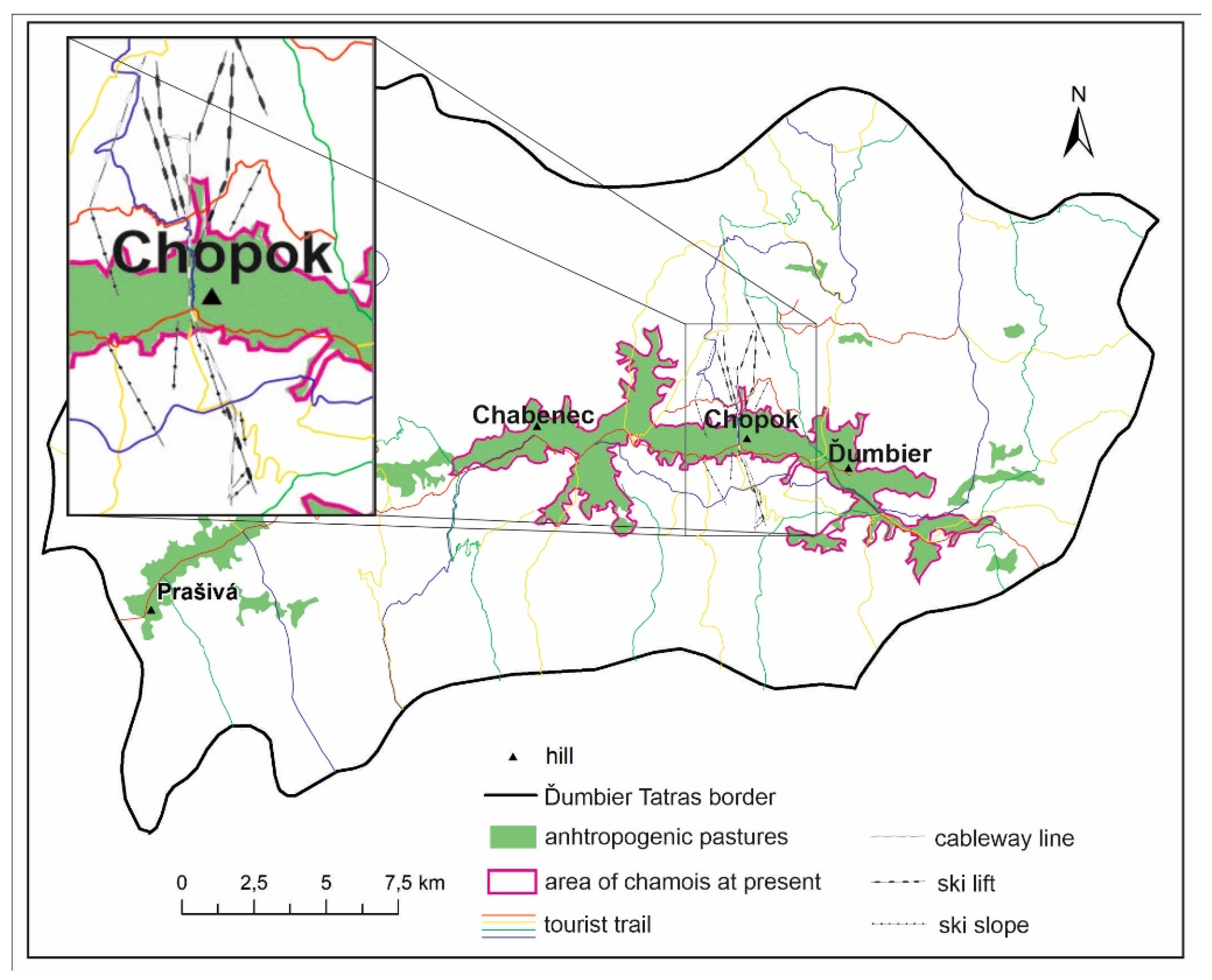 Chamois release to strengthen important Central Apennines population