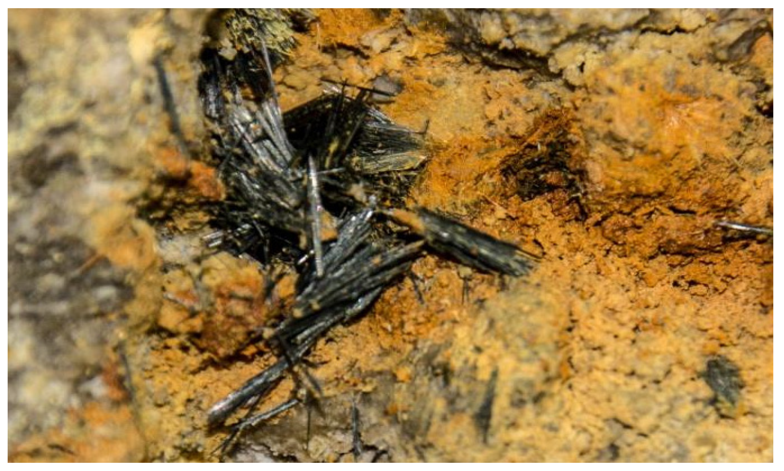 Land 11 02293 g003 Land 11 02293 g003