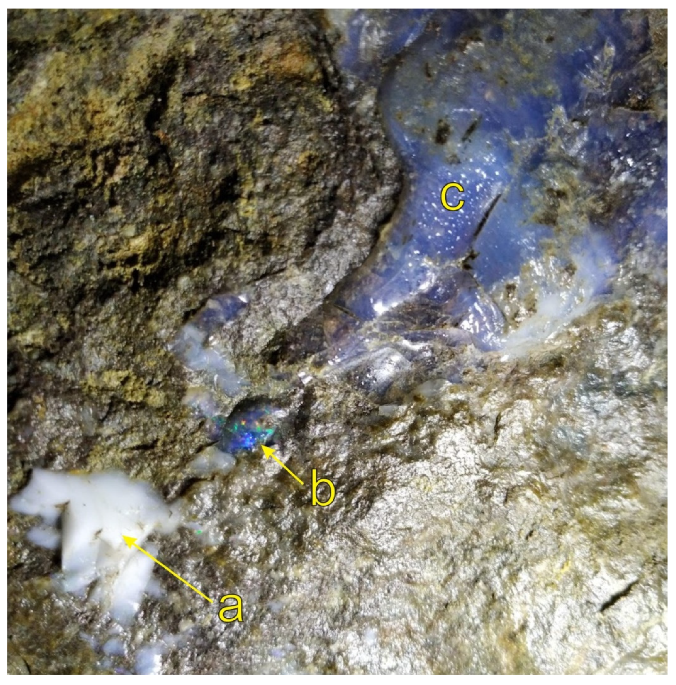 Land 11 02293 g004 Land 11 02293 g004