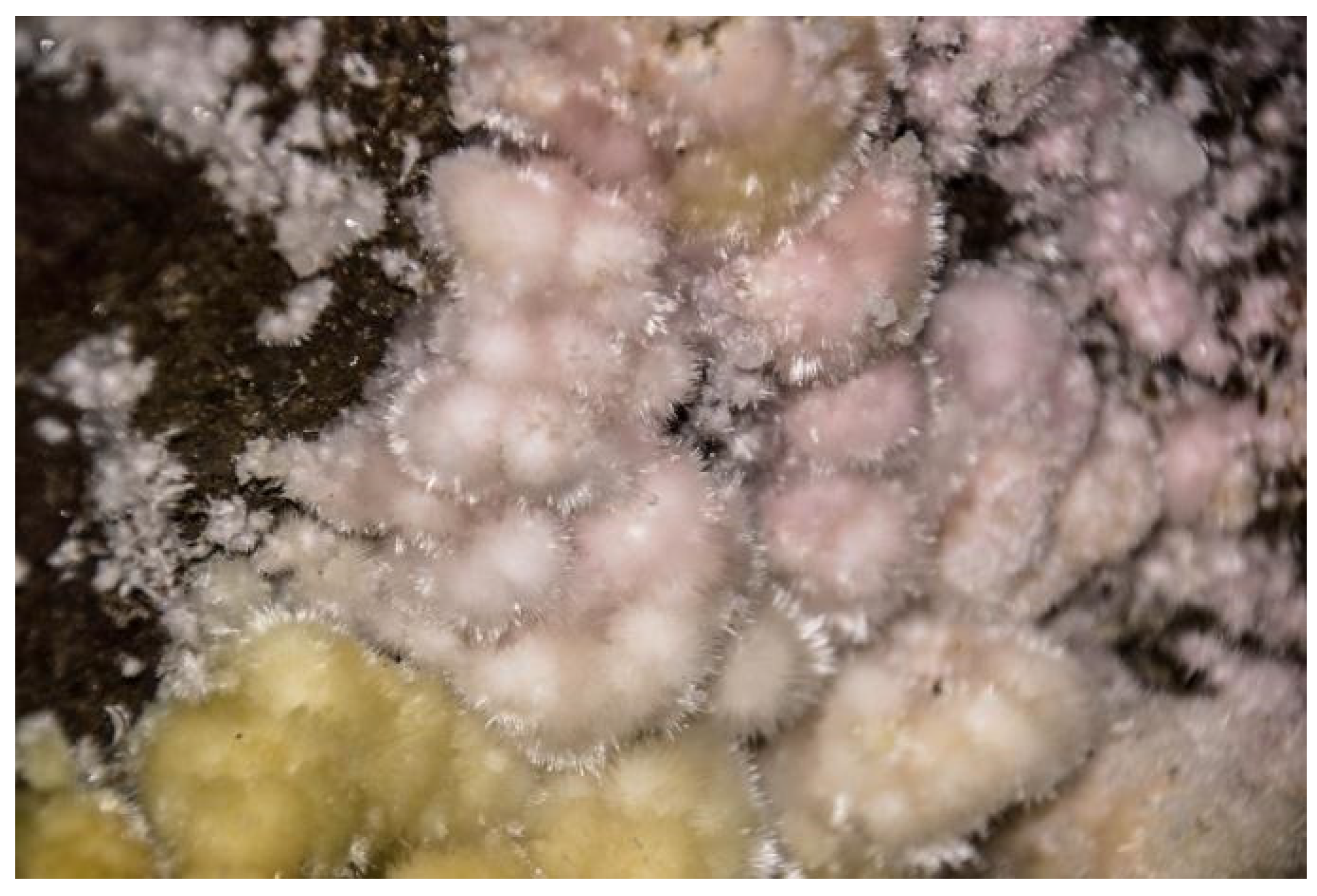 Land 11 02293 g005 Land 11 02293 g005