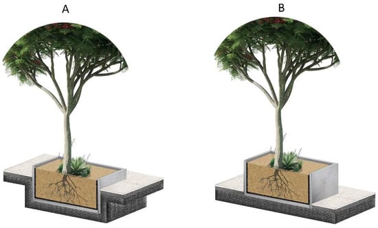 Choosing the Right Bonsai Trees for Rooftop Gardens: Ideal Species And Styles  