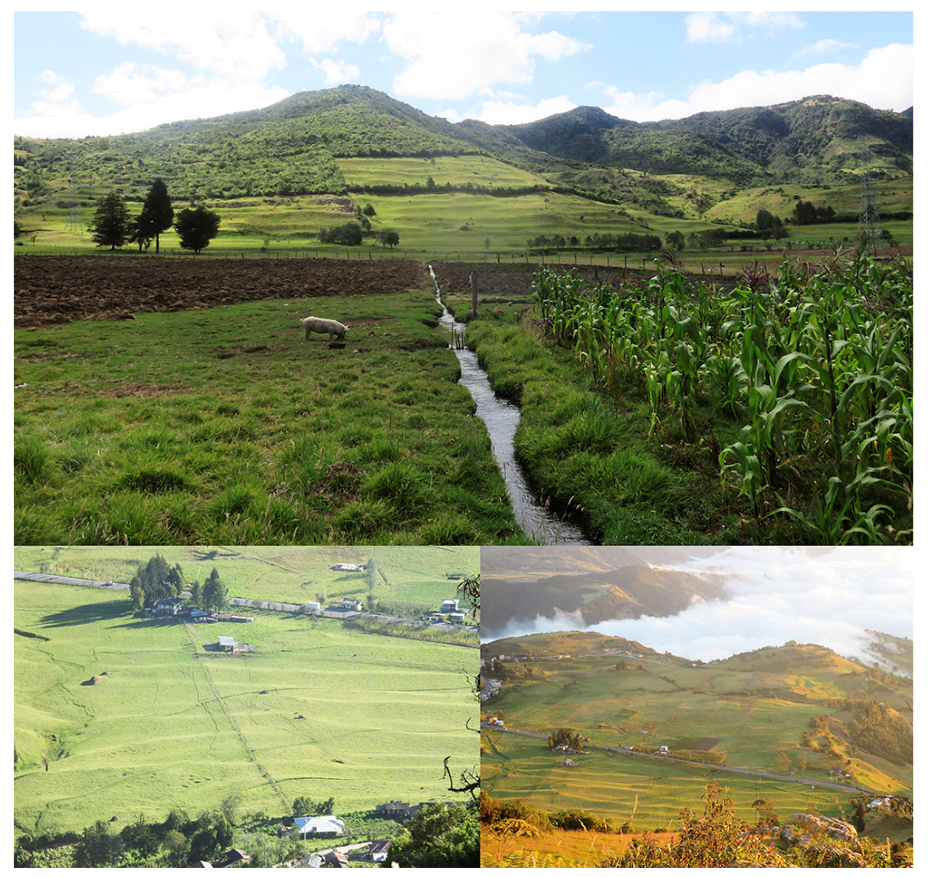 Land | Free Full-Text | The Archeological Landscape of the Chanchán Basin  and Its Agroecological Legacies for the Conservation of Montane Forests in  the Western Foothills of the Ecuadorian Andes