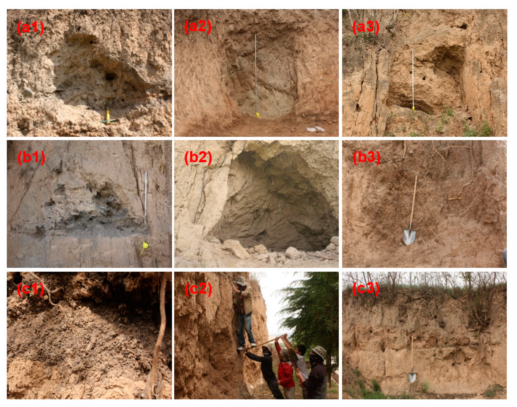 Land 12 00343 g002 Land 12 00343 g002