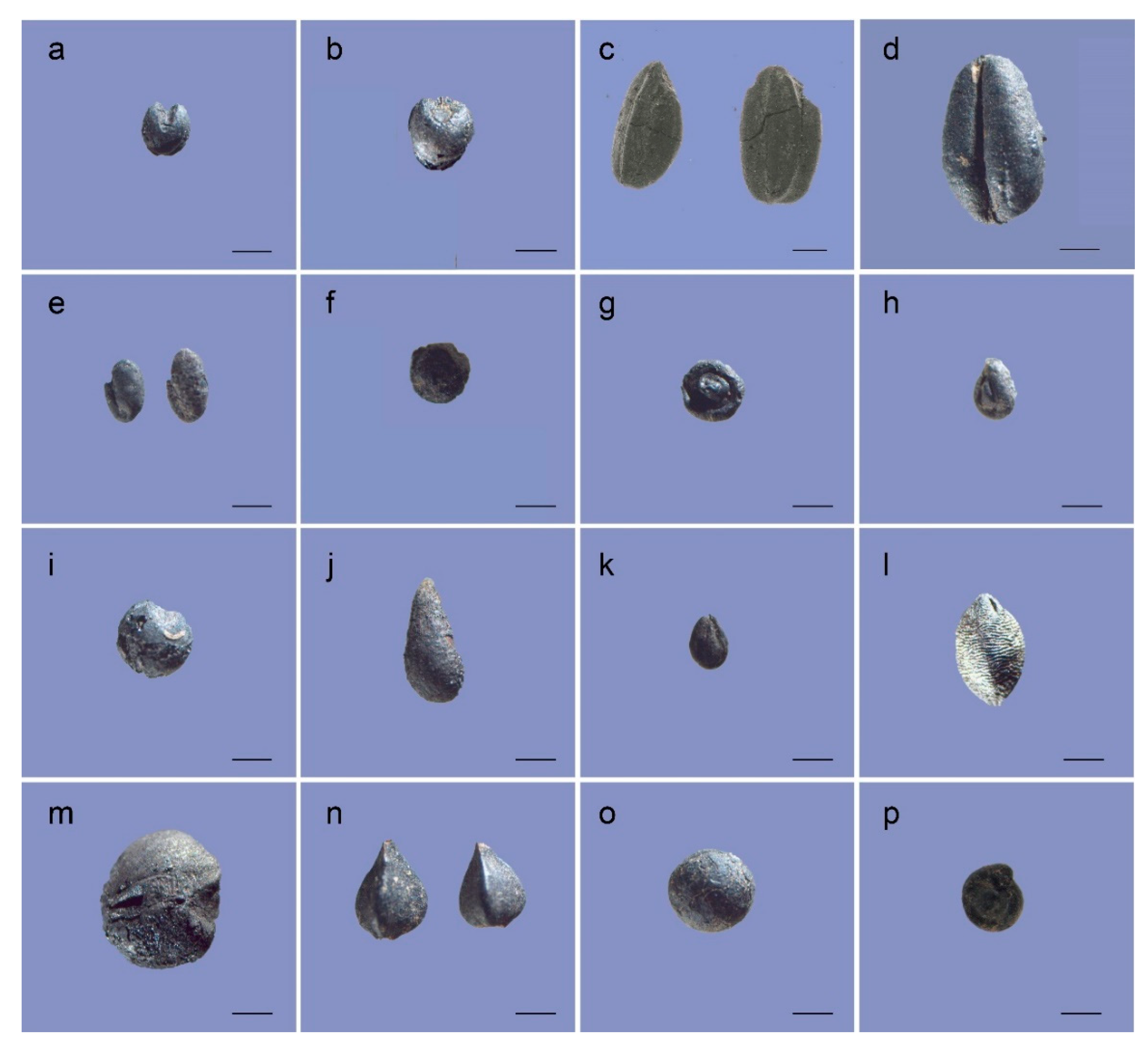 Land 12 00343 g004 Land 12 00343 g004