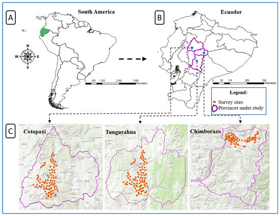 Past and future impacts of land-use changes on ecosystem services in  Austria - ScienceDirect