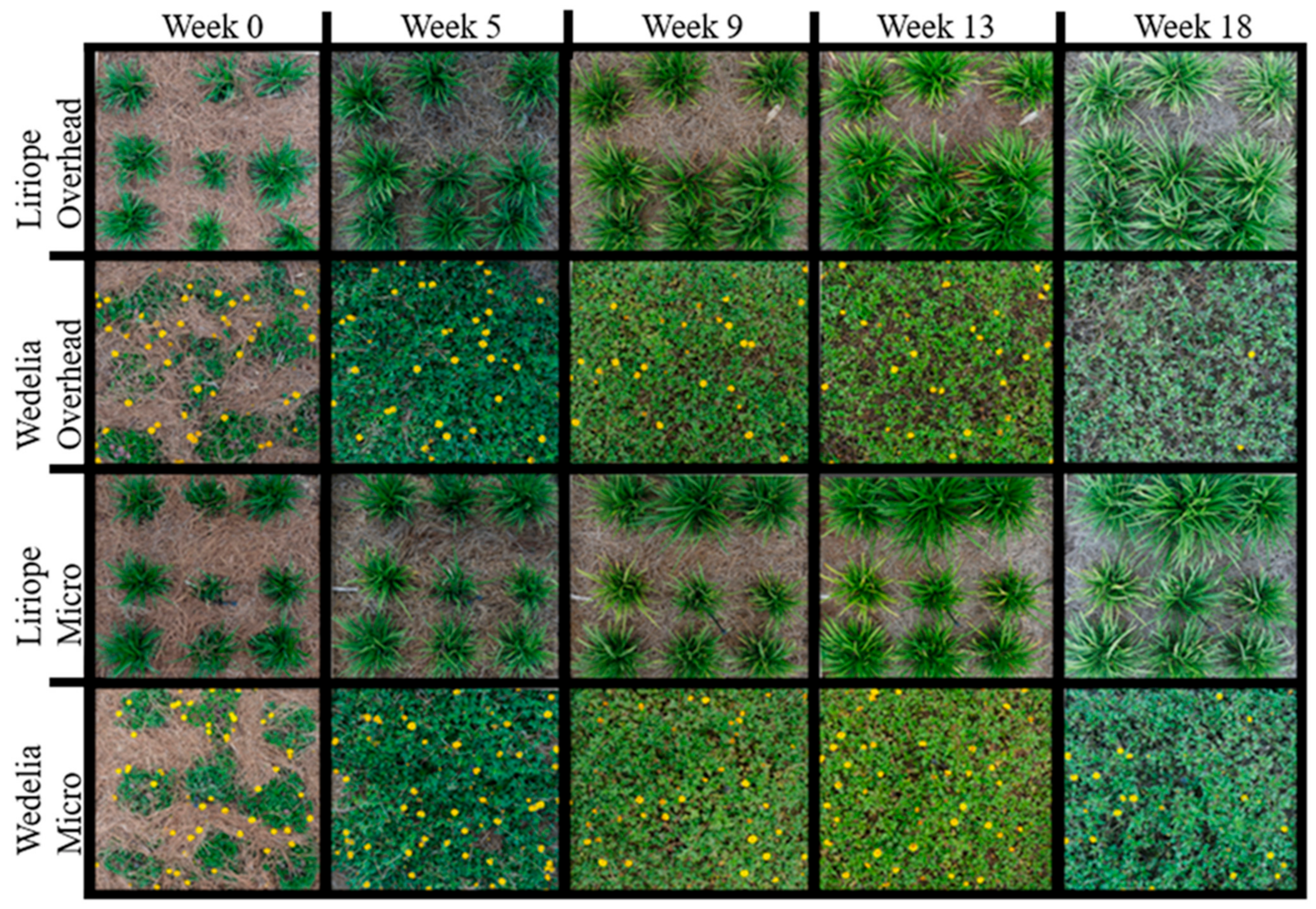 Land 12 01119 g007 Land 12 01119 g007